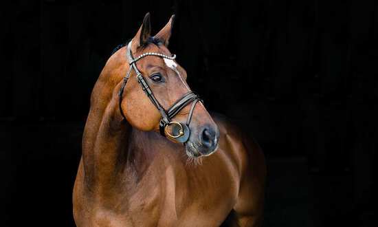 Which bit should I use?