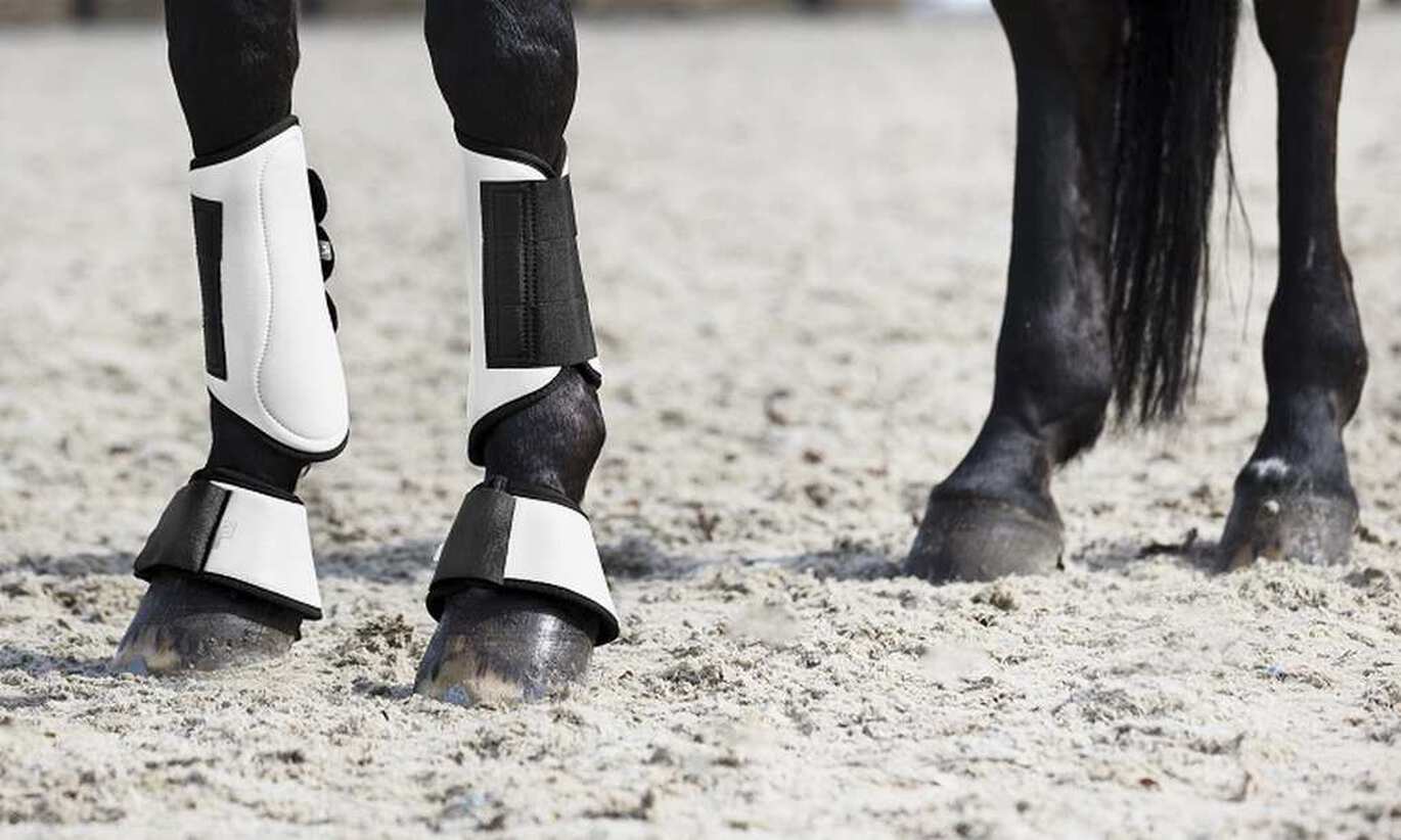 Why do horses need leg protection?
