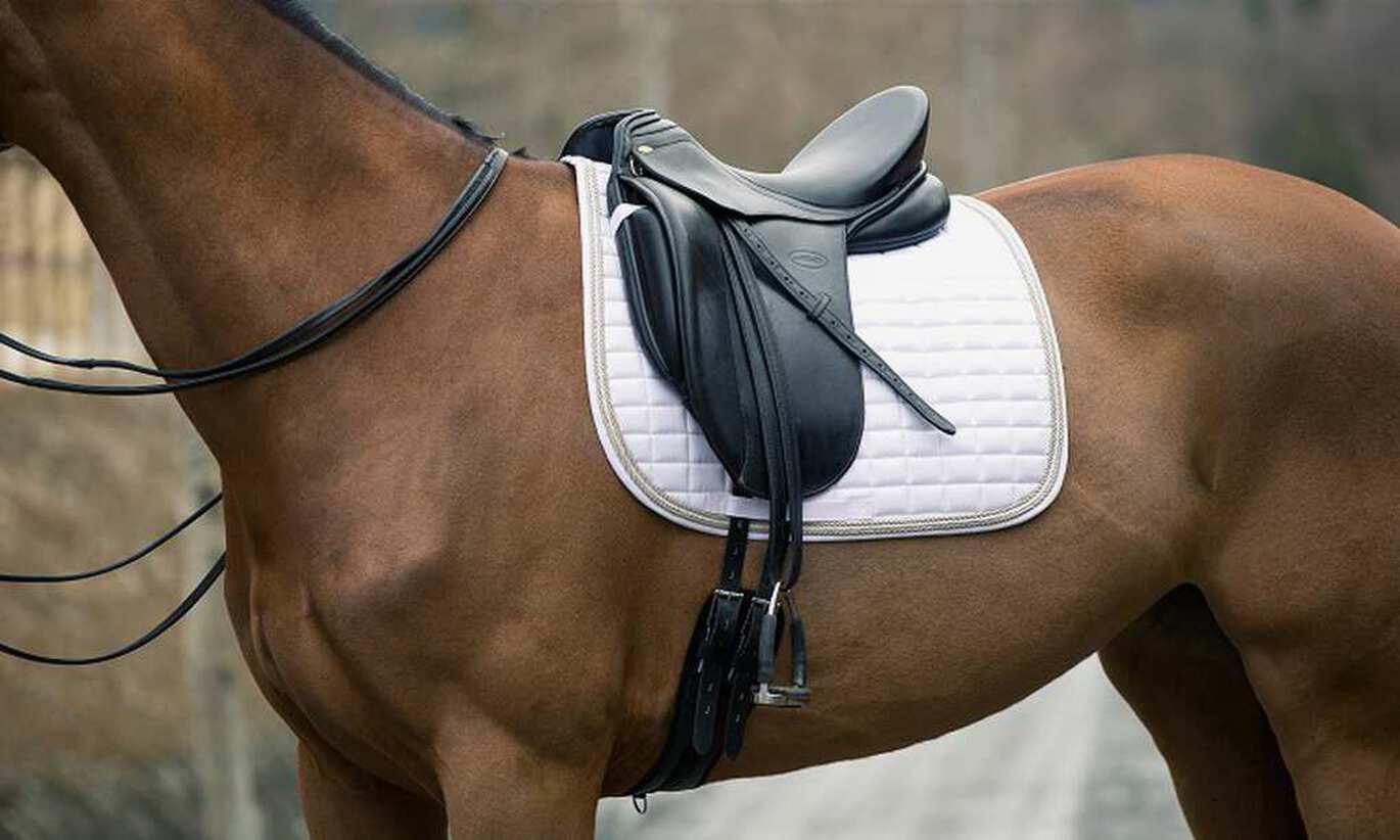 Does my horse need a saddle pad/numnah?
