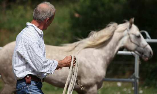 Horsemanship - harmonious cooperation between human and horse