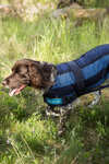 Back on Track Cool On Track Dog Coat 2.0
