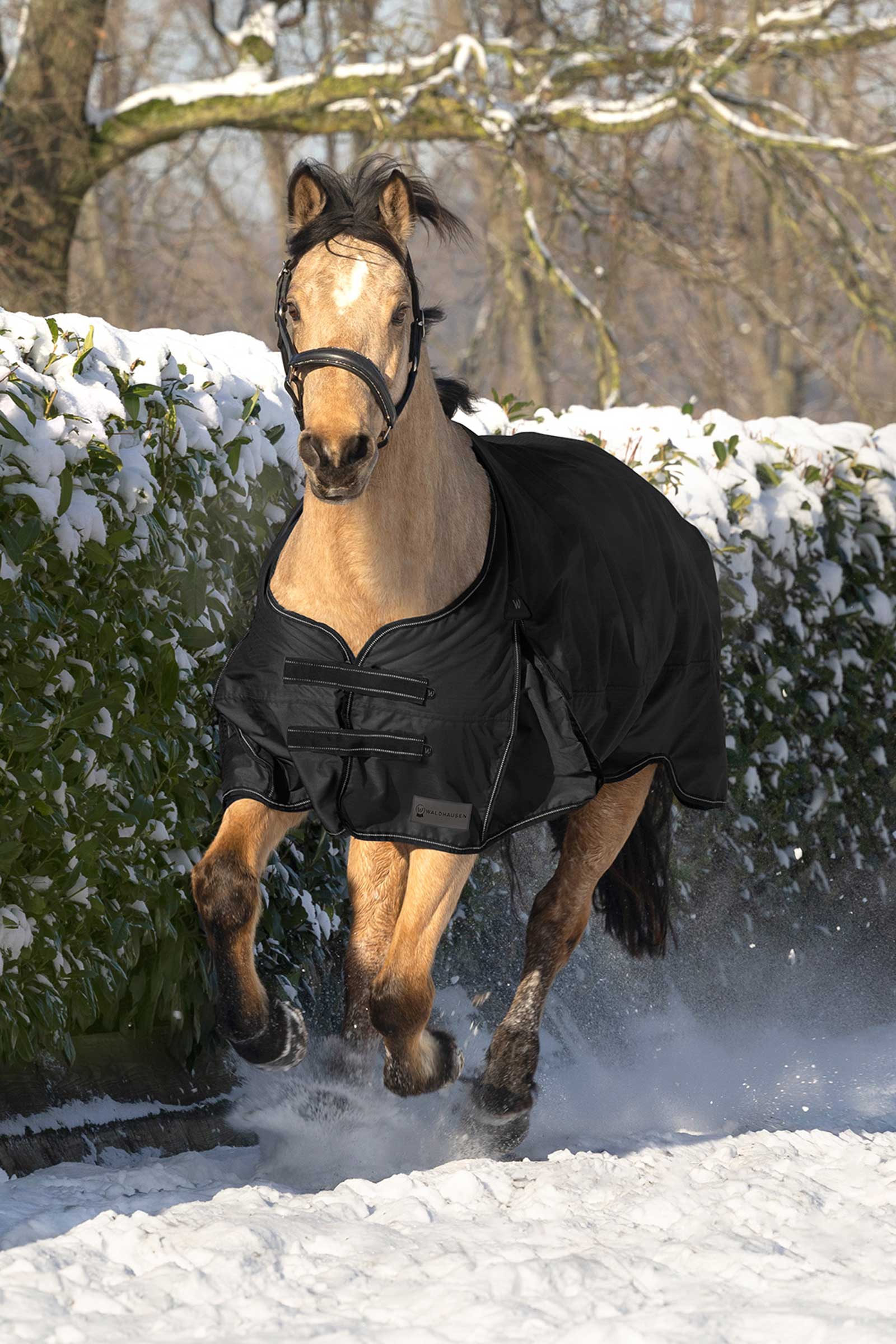 Waldhausen Arctic Turnout Rug, 50 g