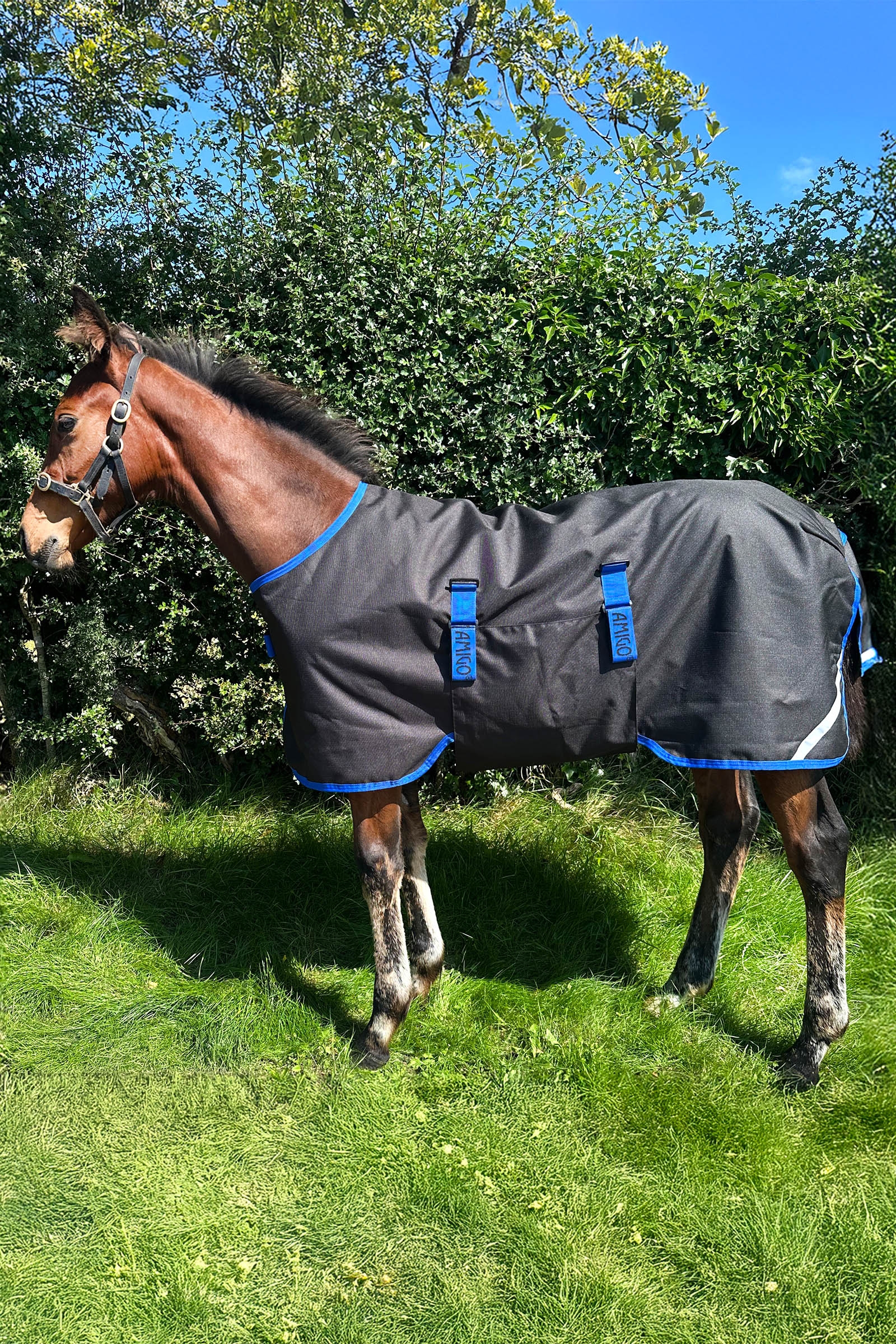 Horseware Amigo Ripstop 900D Foal Turnout 200g