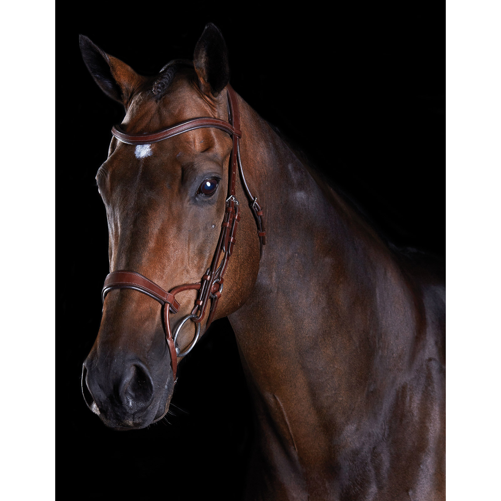 Brown Collegiate ComFiTec Training Bridle