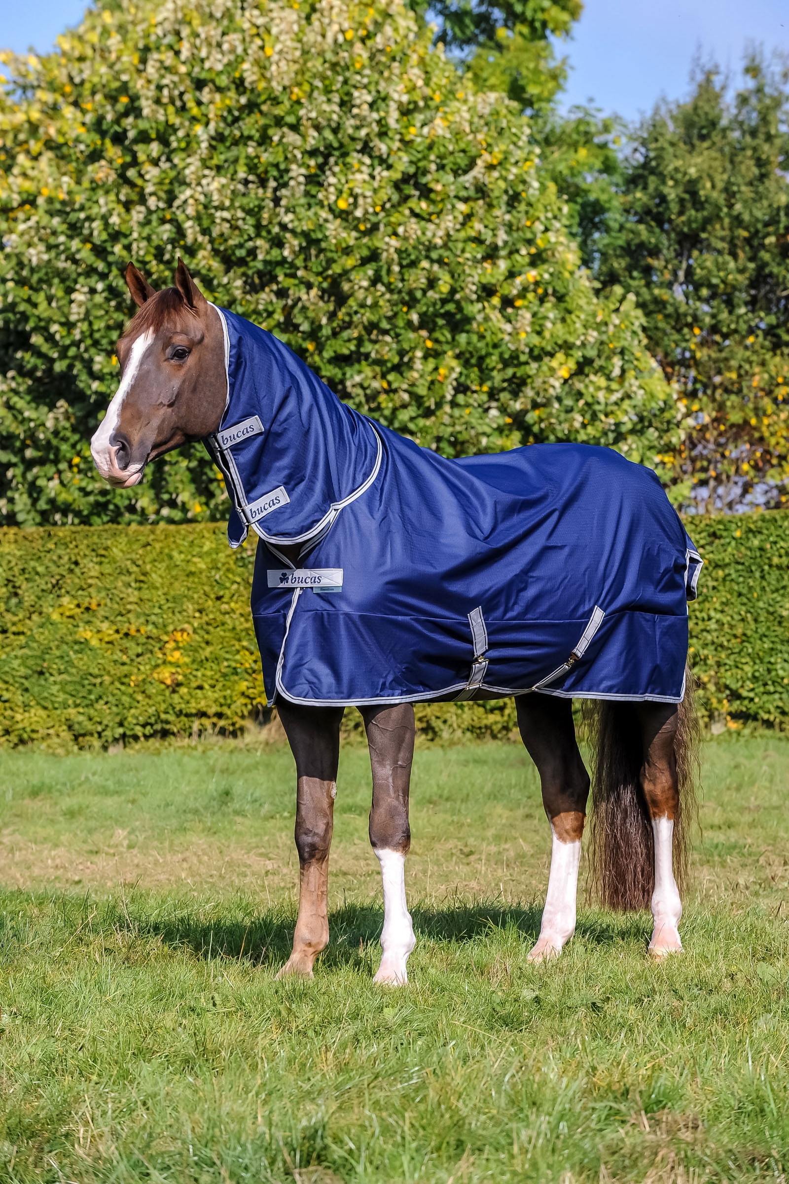 Bucas Freedom Pony Turnout Rug with fixed Full Neck (150g / 150g)