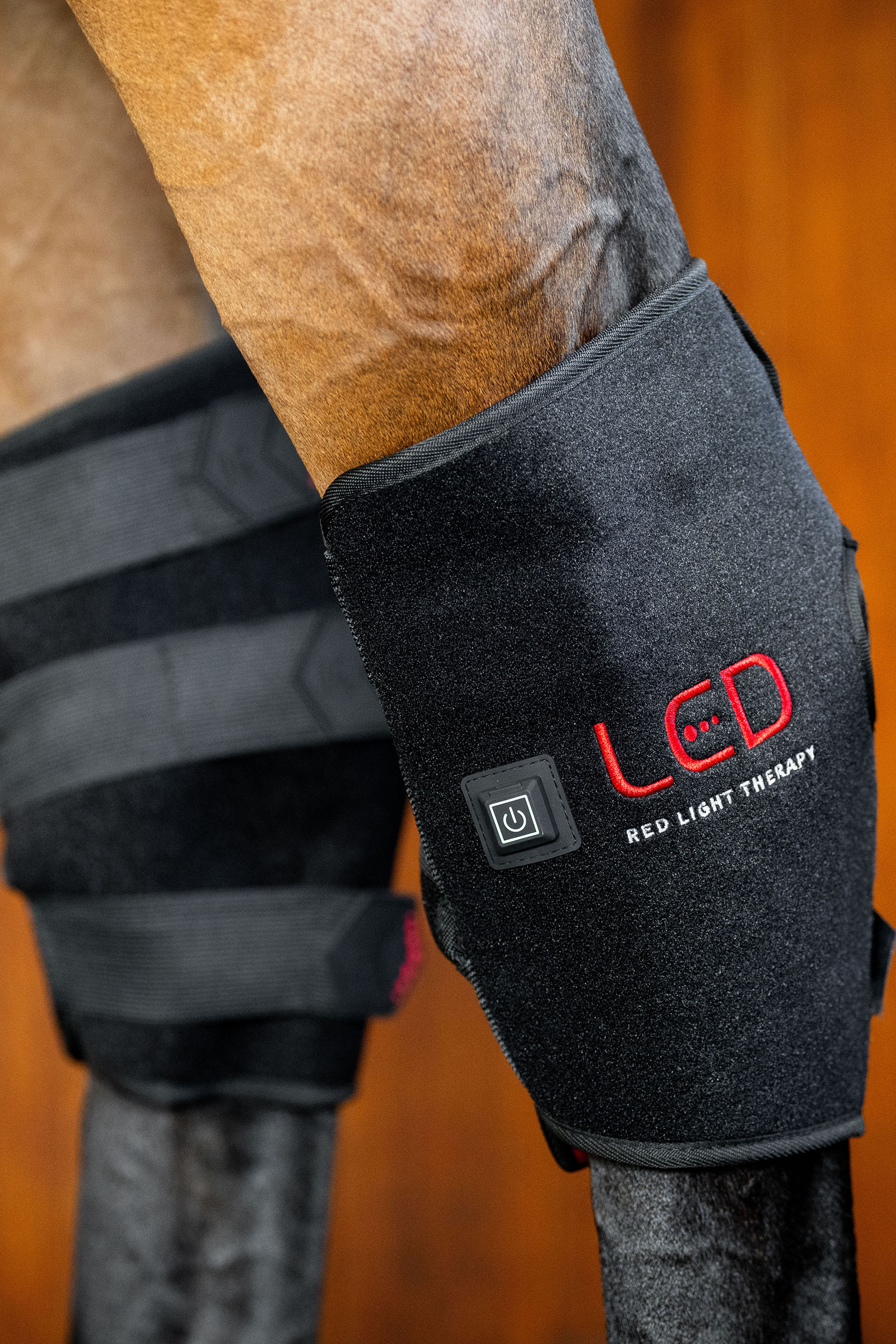 Horseware LED Red Light Therapy Hock Boot (1 pc.)