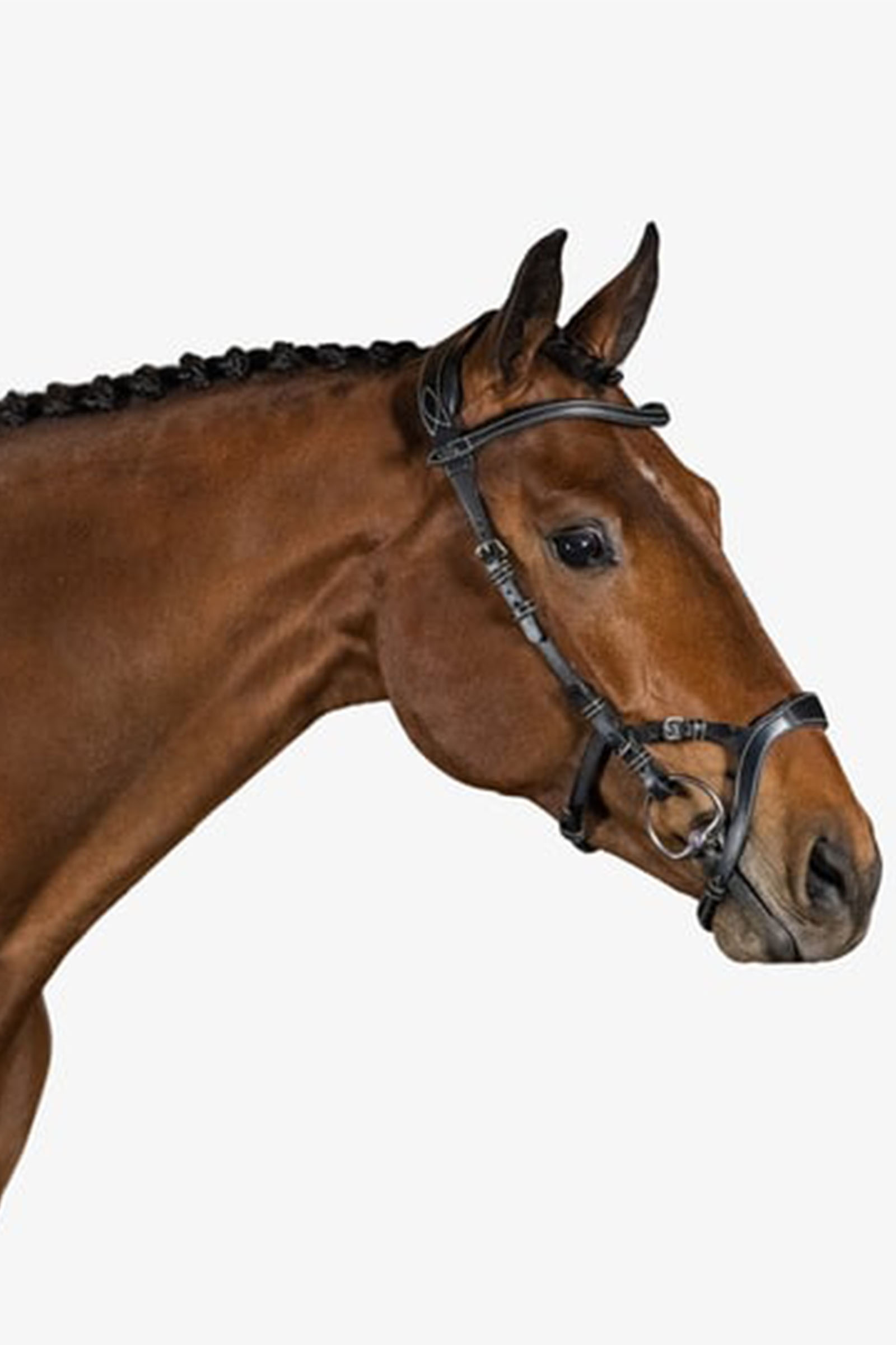 PS of Sweden bridle Nirak