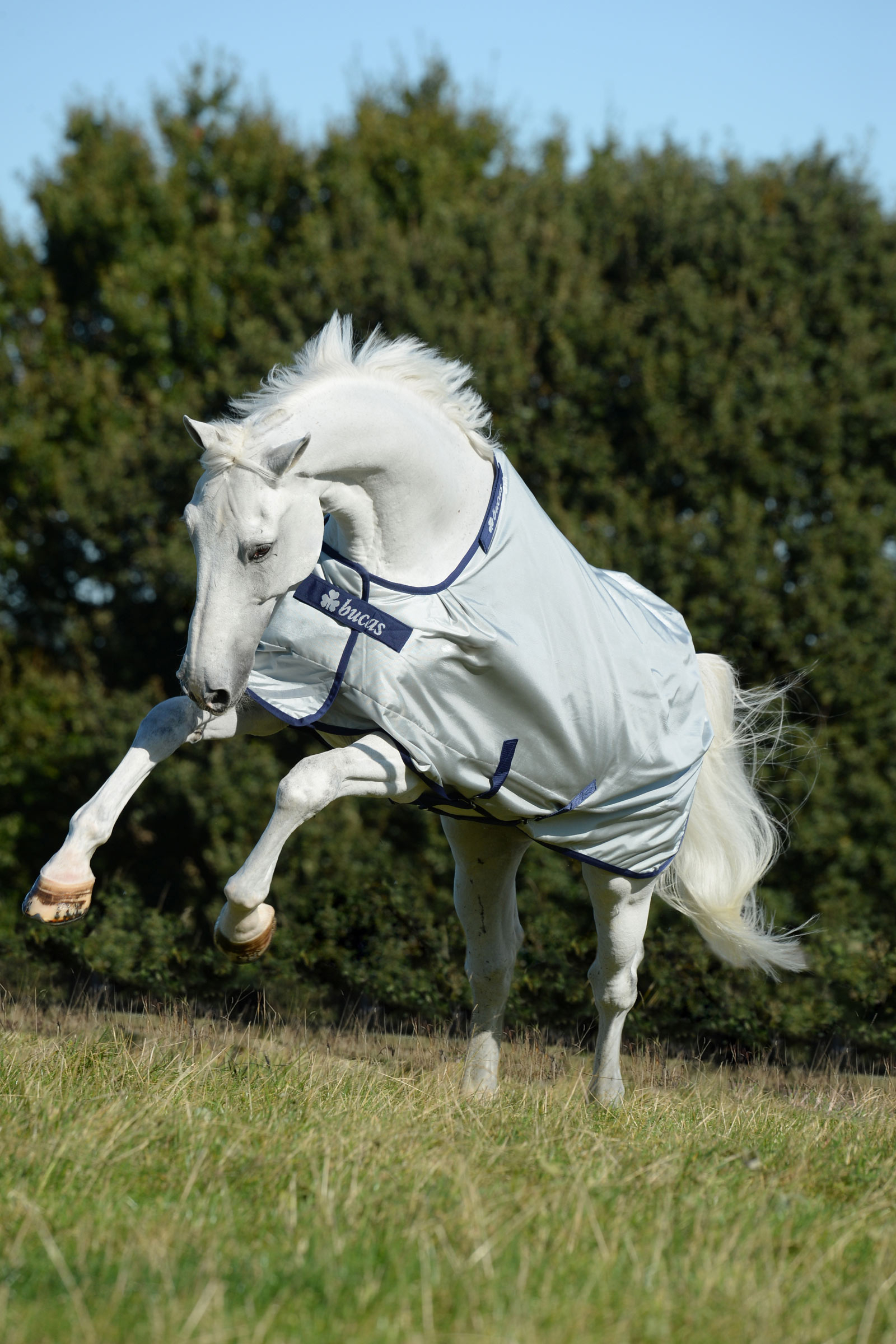 Bucas Power Turnout Rug with Big Neck, 0g