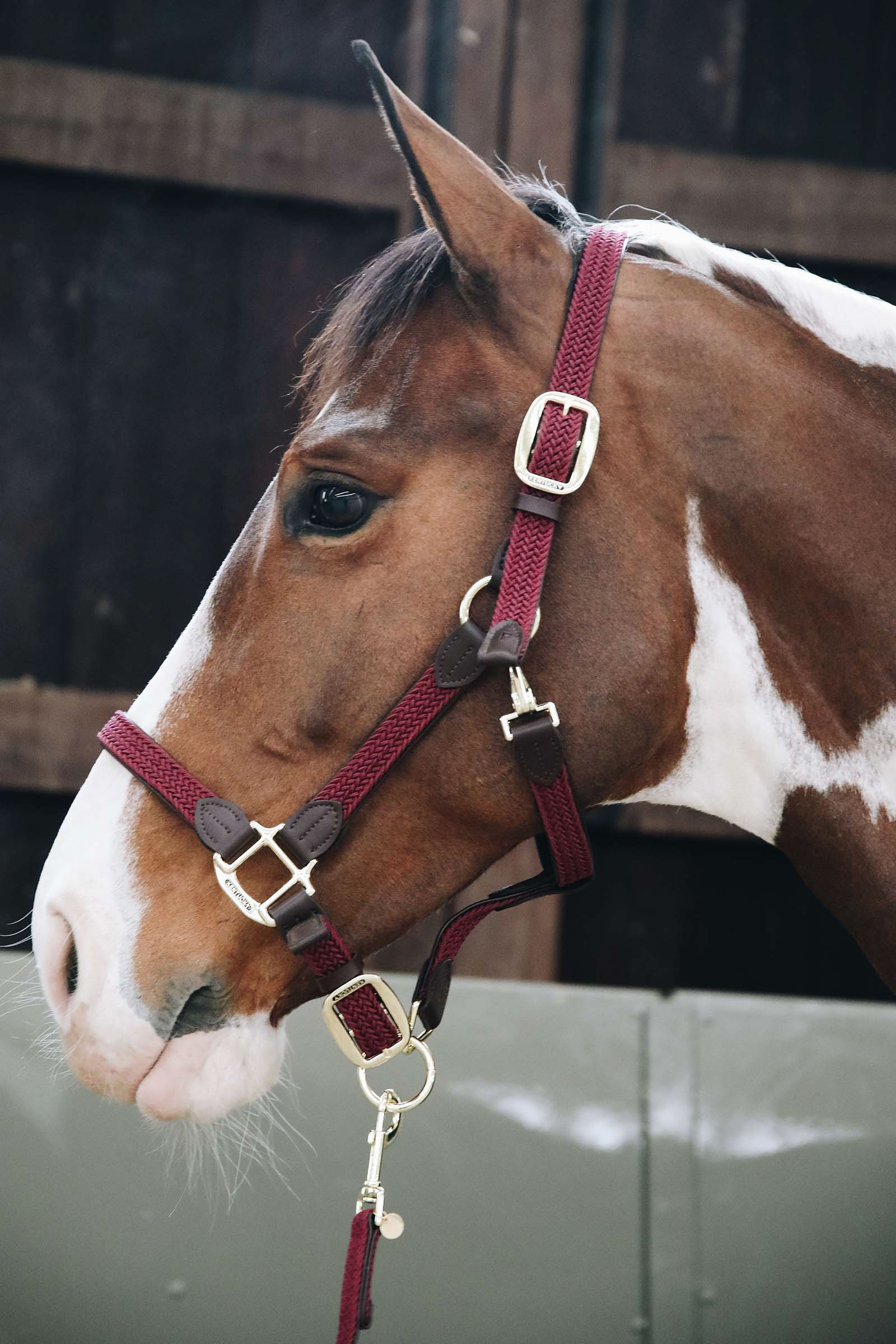 Dark Red Kentucky Plaited Nylon Halter