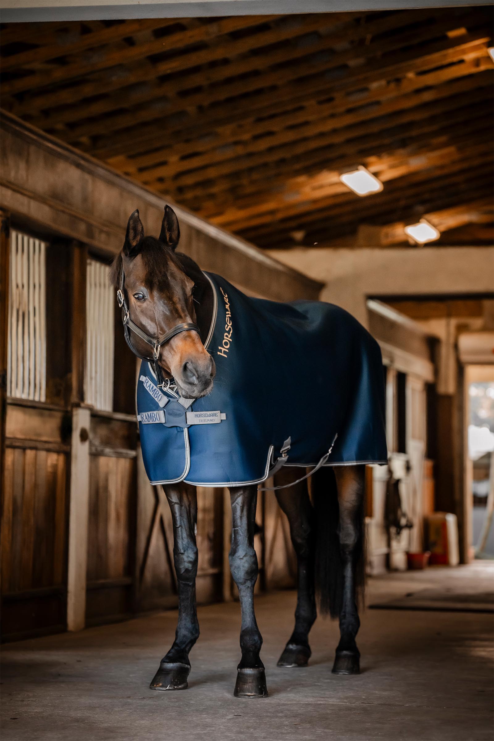 Horseware Rambo Airmax Cooler Rug