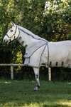 Horseware Rambo Optimo Protector Plus Rug