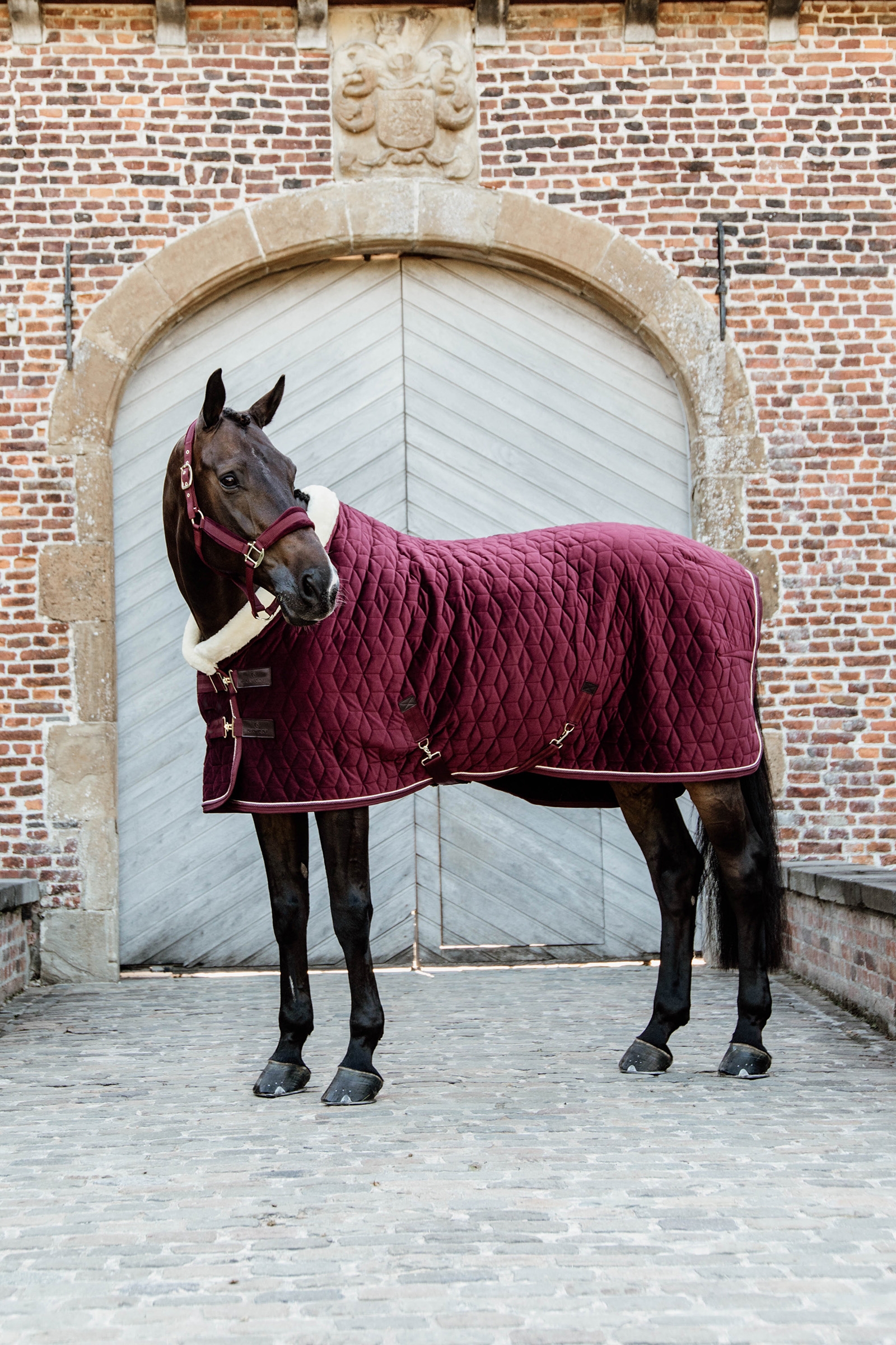 Kentucky Horsewear Velvet Show Rug, 160g