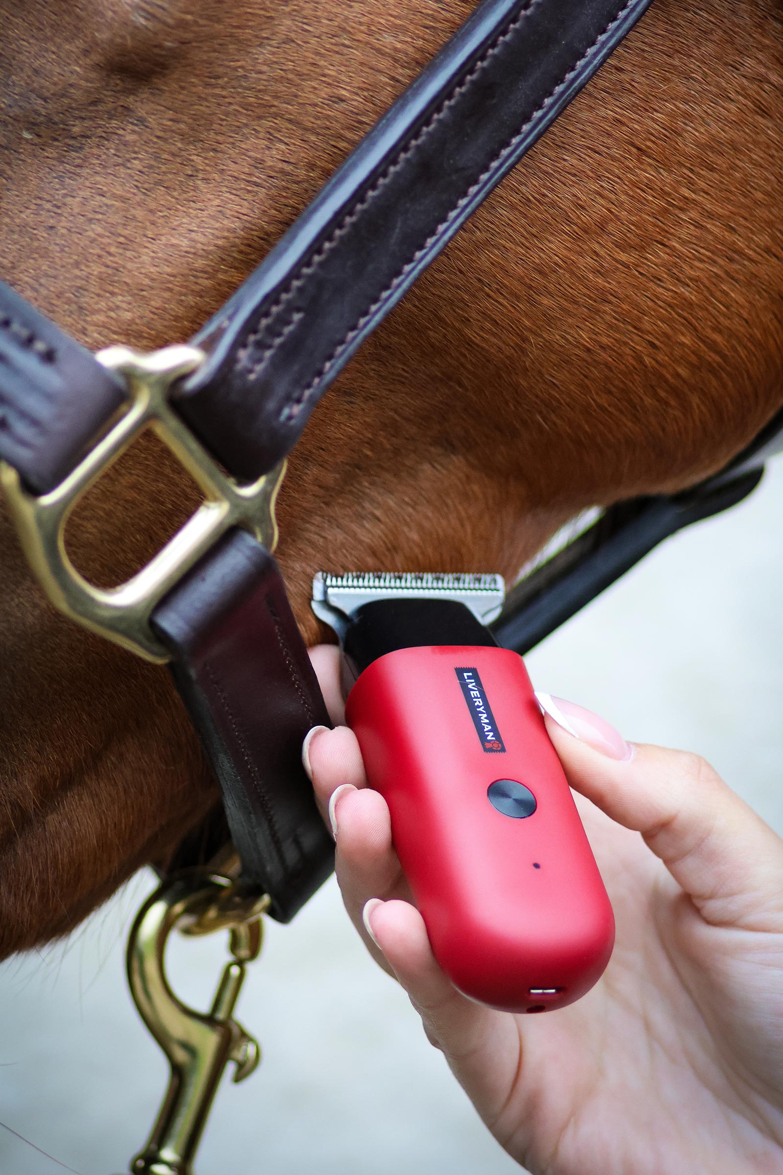 Liveryman Robin Equine Trimmer