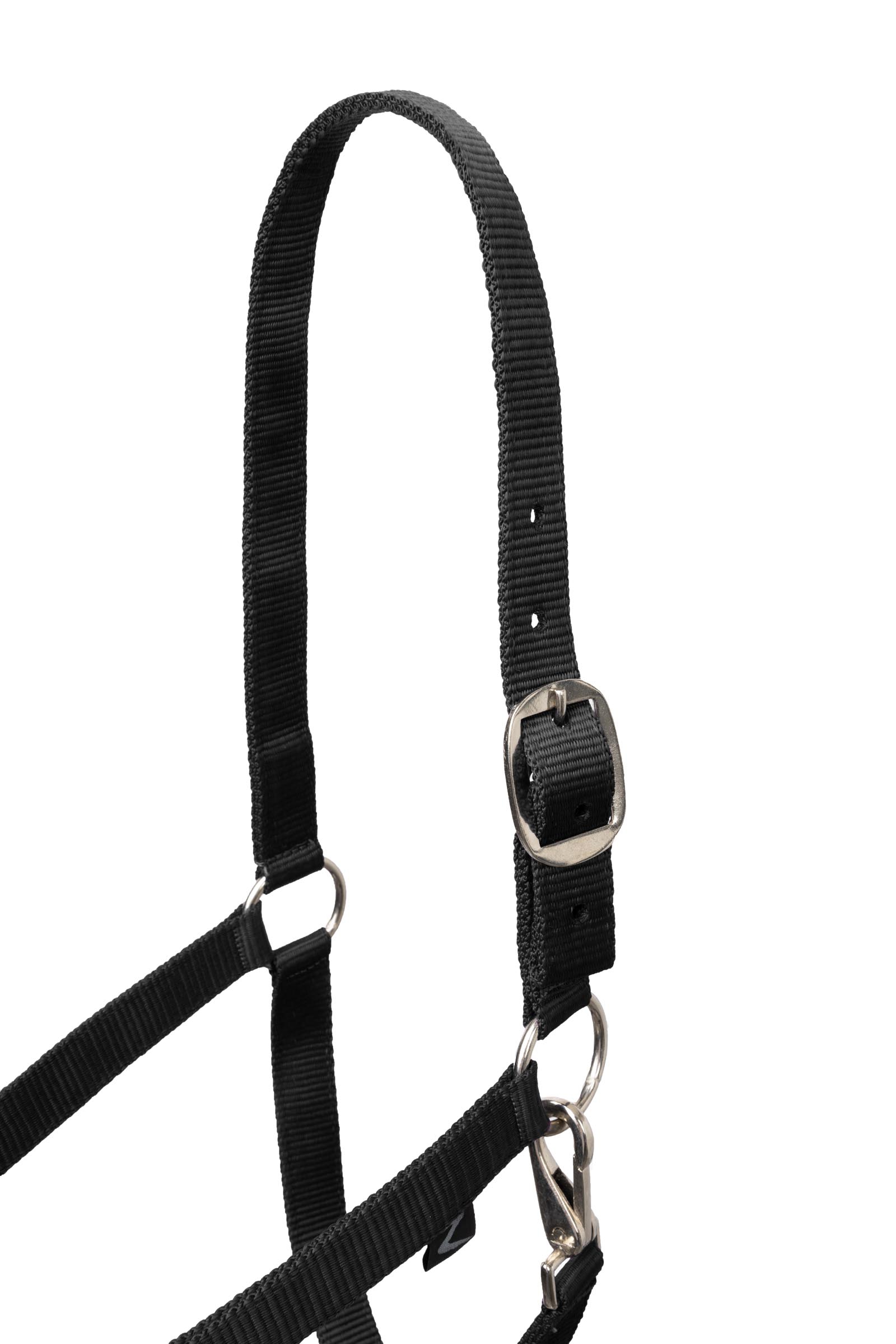 Horze Basic Halter & Panic Hook Lead