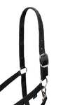 Horze Basic Halter & Panic Hook Lead