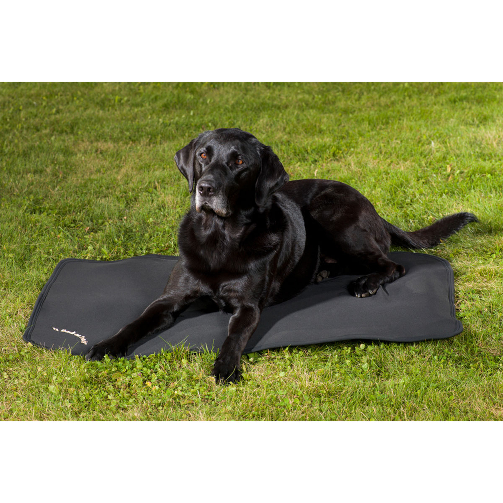 Back on Track Dog Bed Liner, 100x68