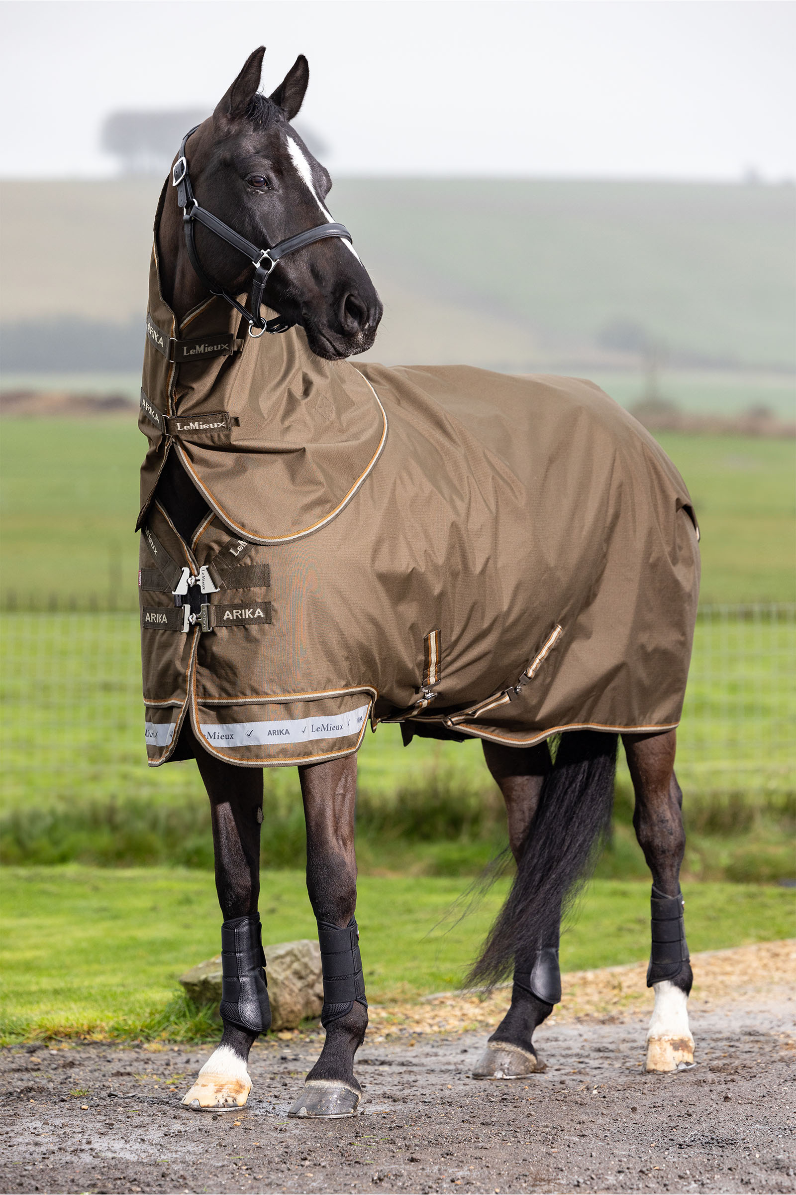 LeMieux Arika Ripstop Turnout Rug 50g