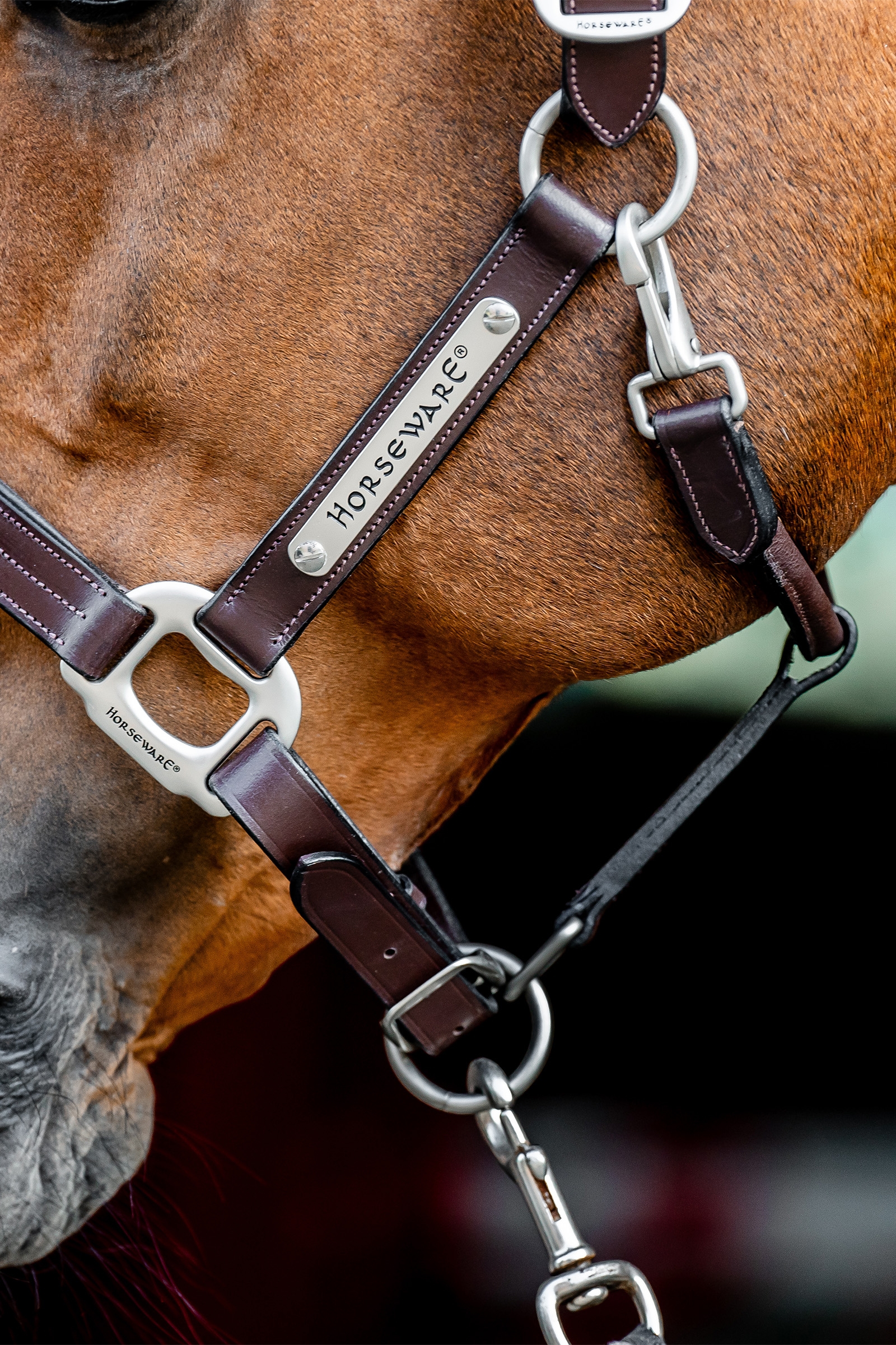 Horseware Signature Leather Headcollar