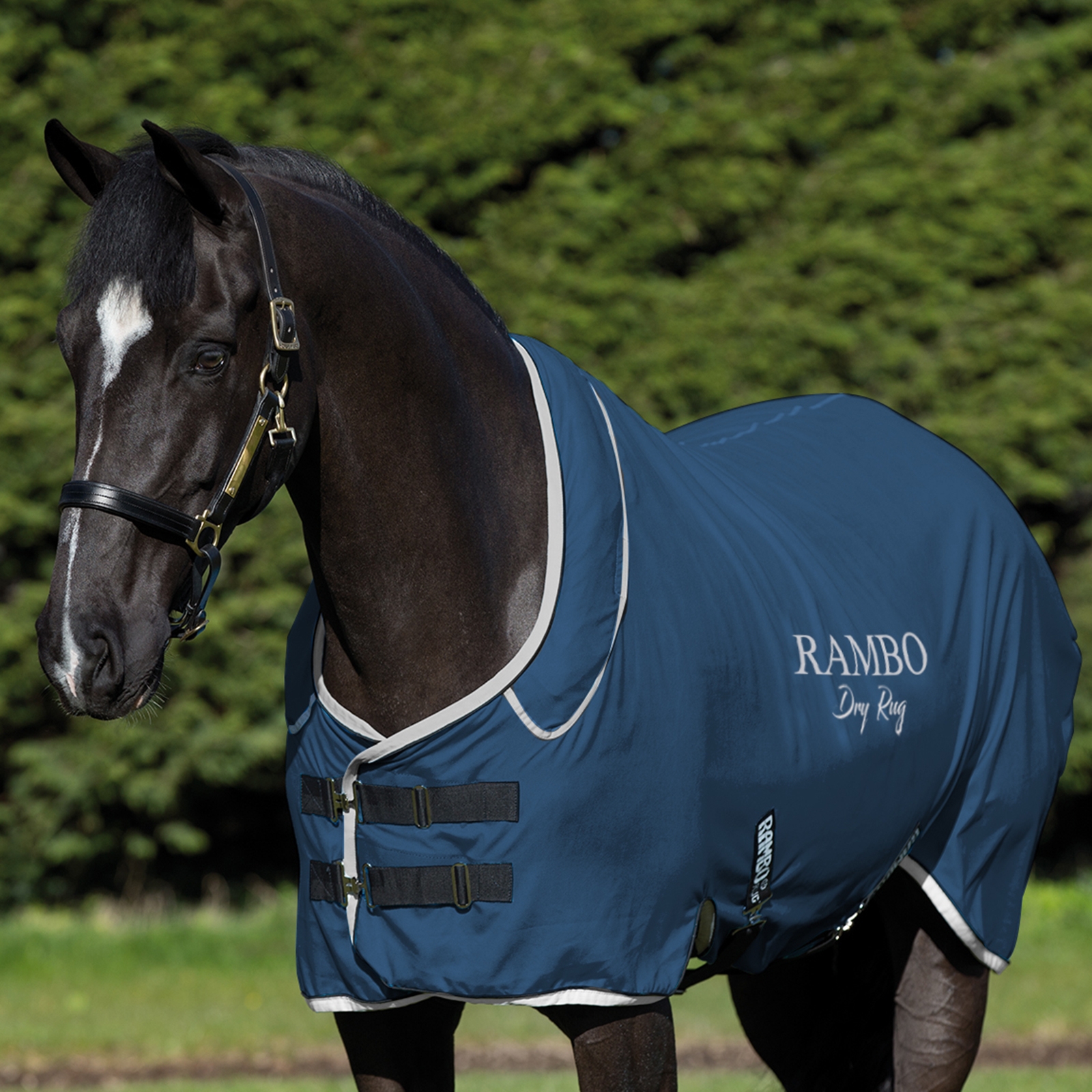 Horseware Rambo Dry Rug Supreme