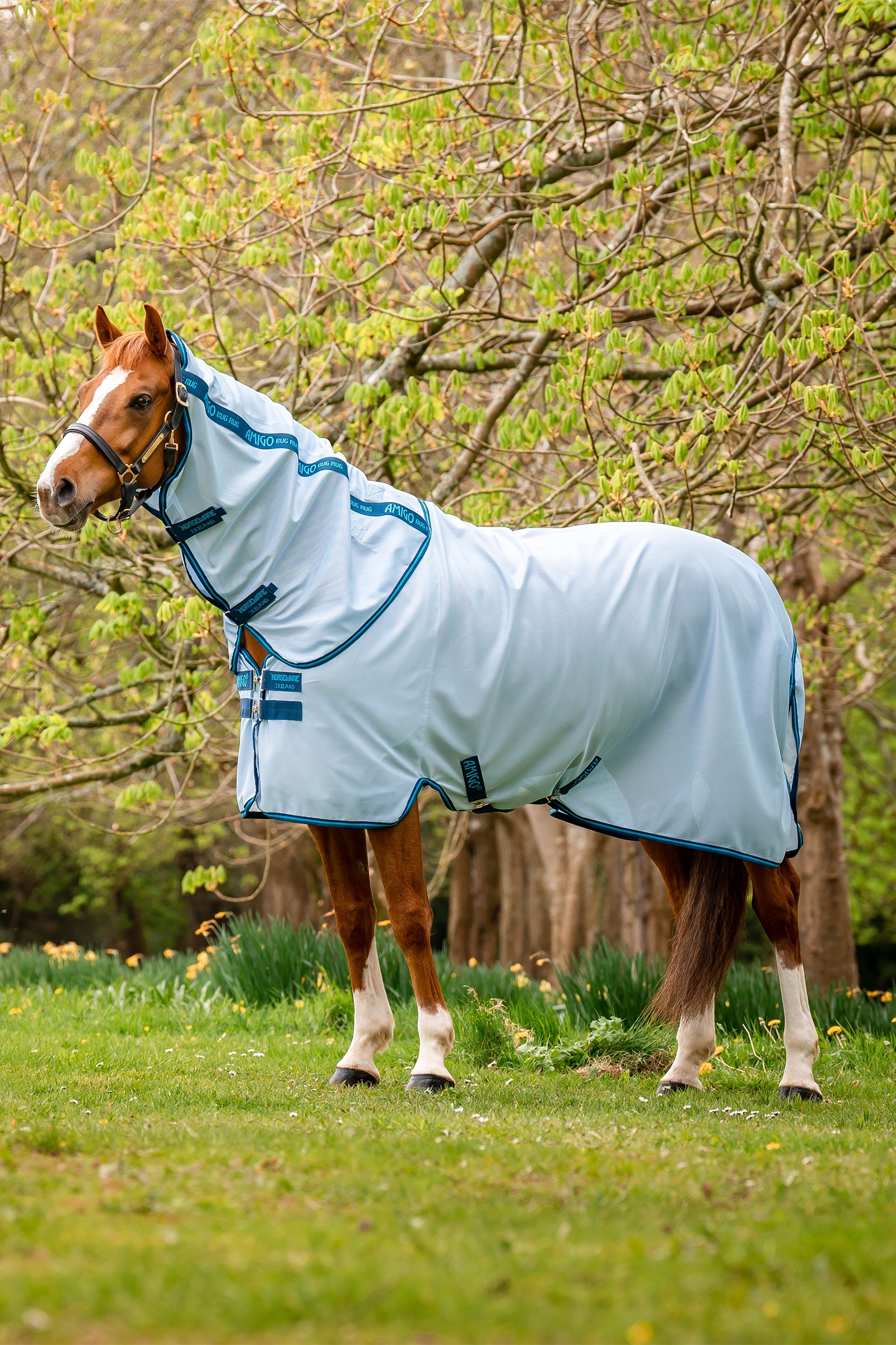 Horseware Amigo Bug Rug
