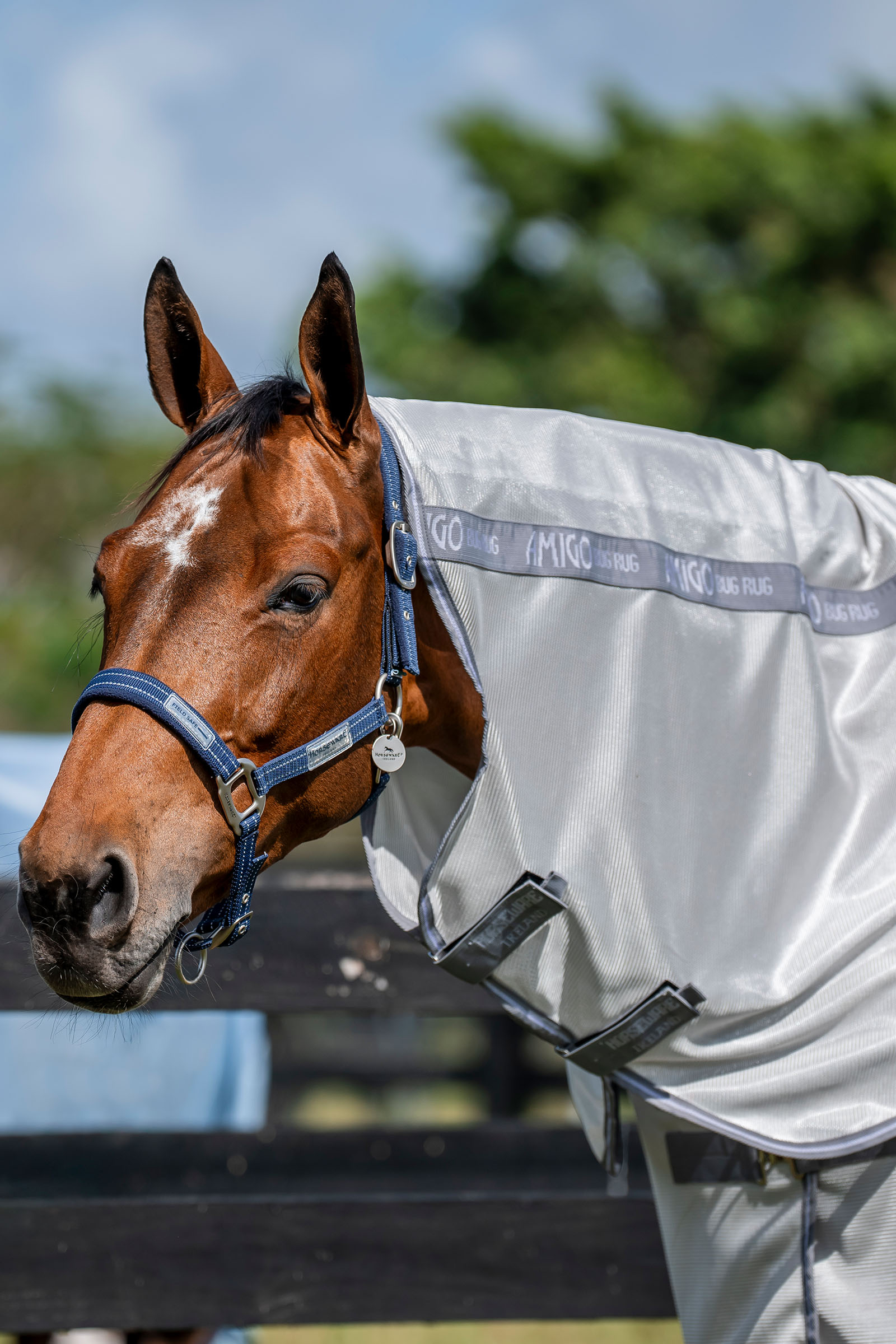 Horseware Amigo Bug Rug Plus