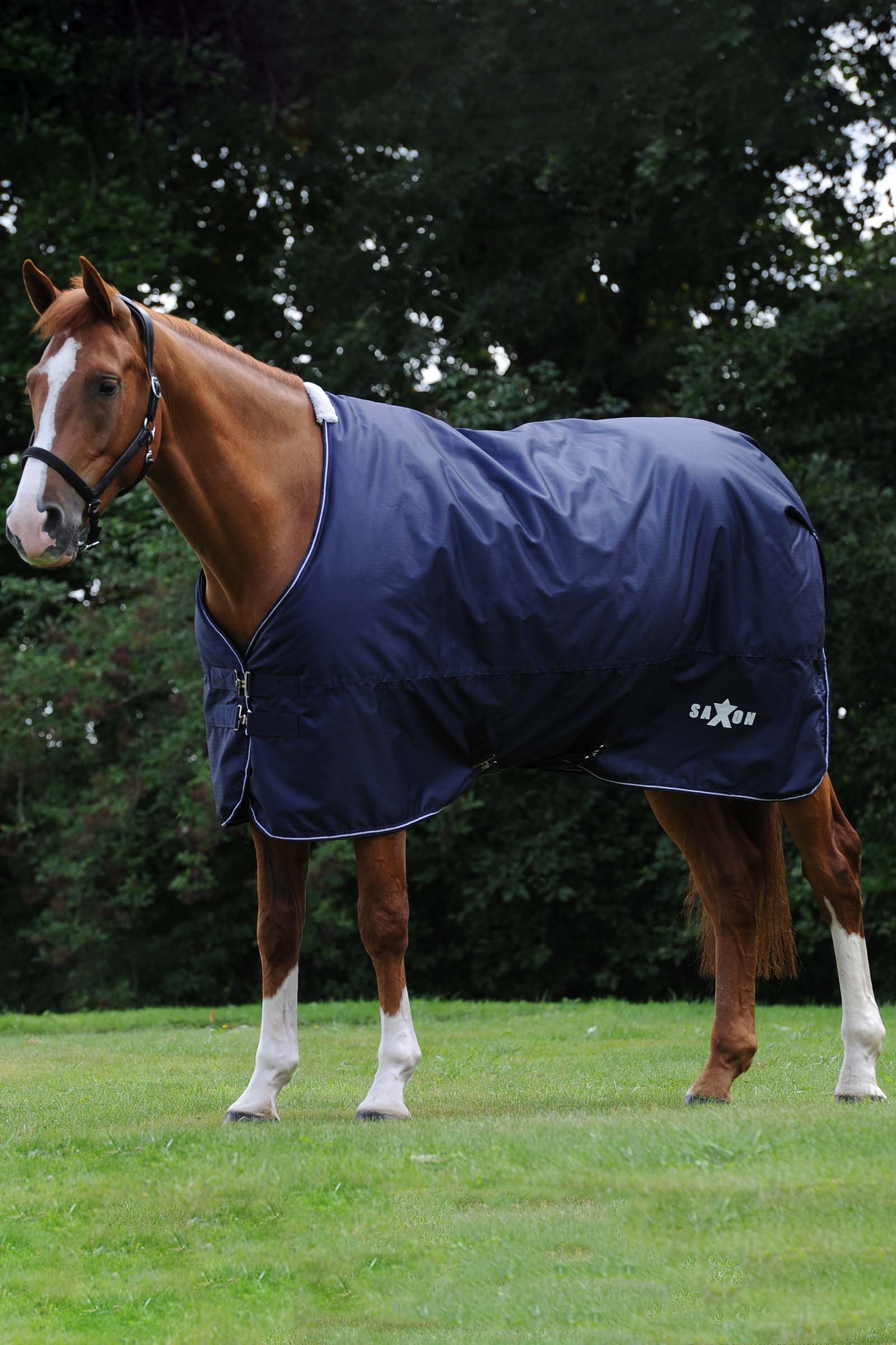 Saxon Defiant 600D Turnout Rug, 0g