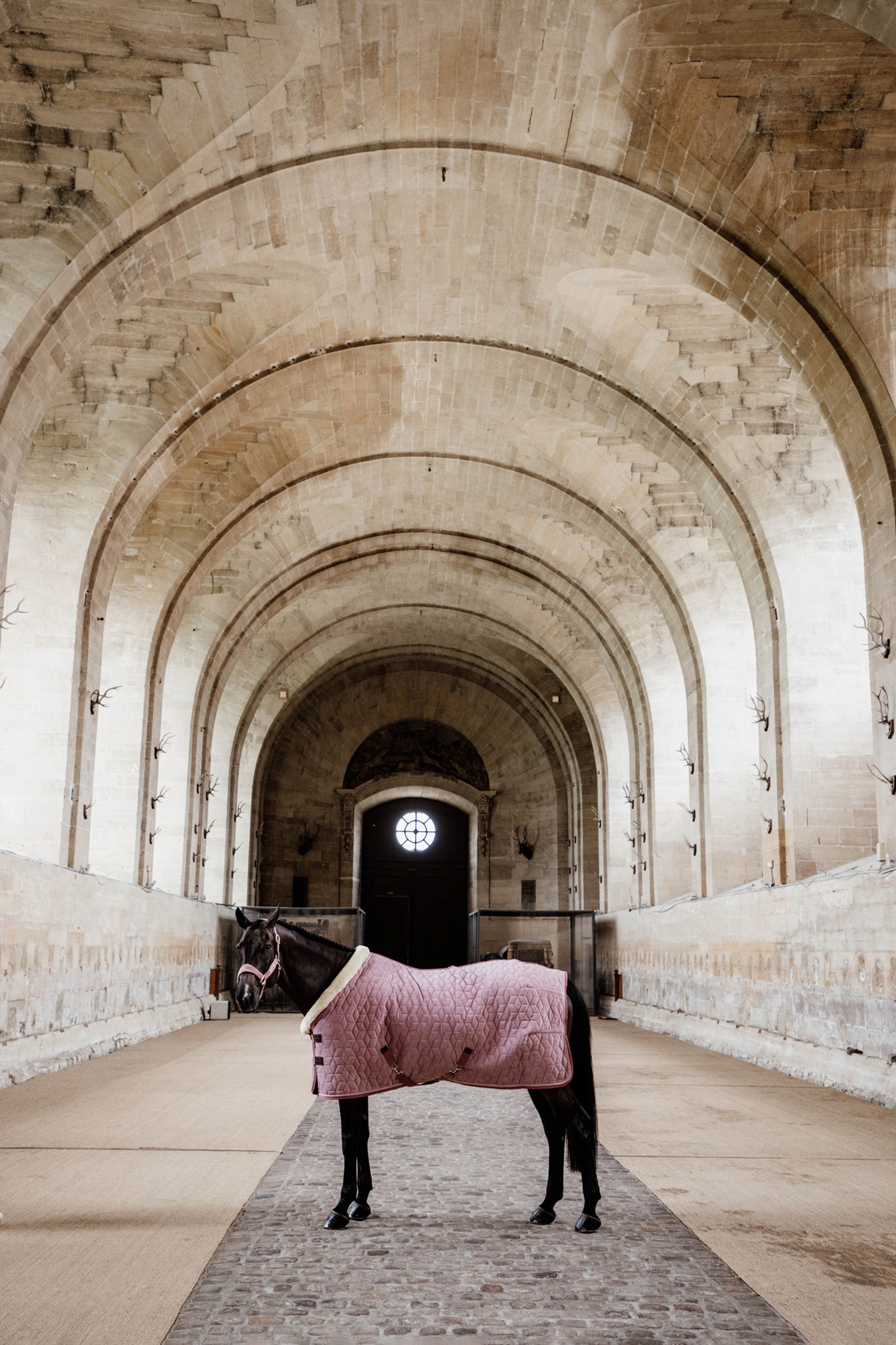 Kentucky Horsewear Velvet Show Rug, 160g