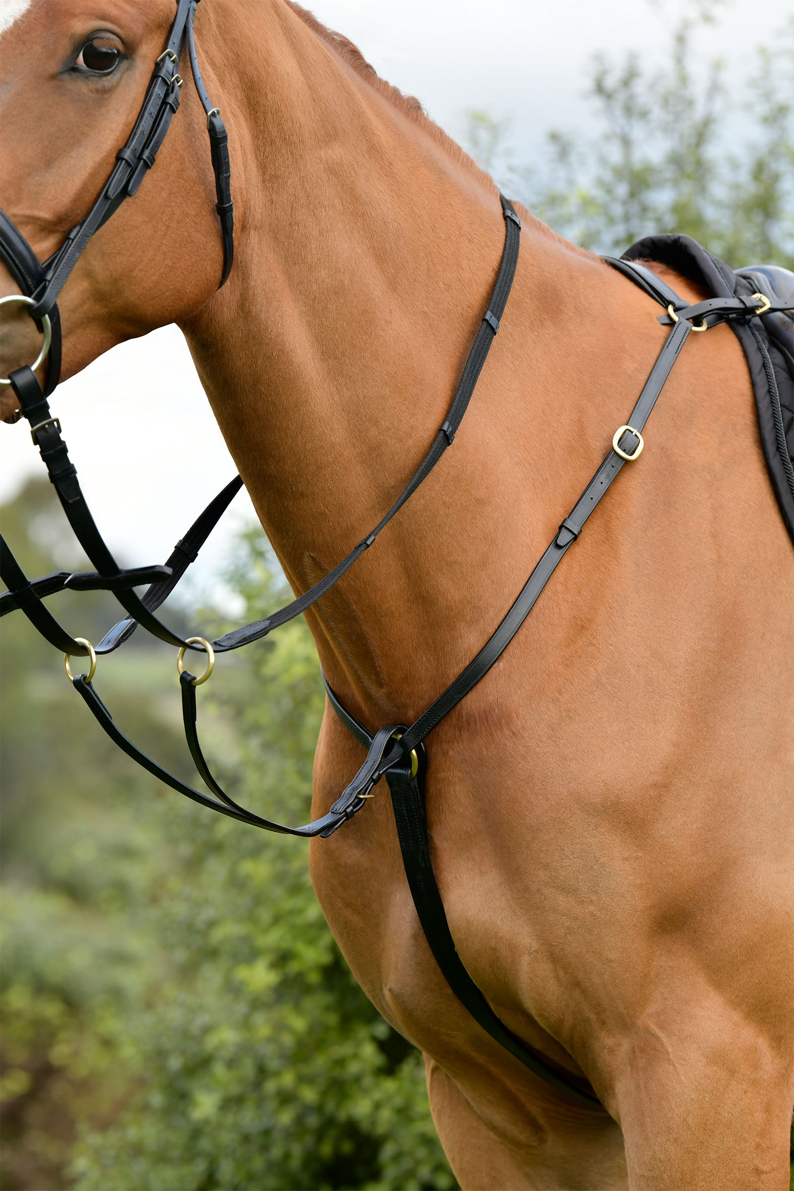Kincade Classic 3 Point Breastplate With Running Martingale