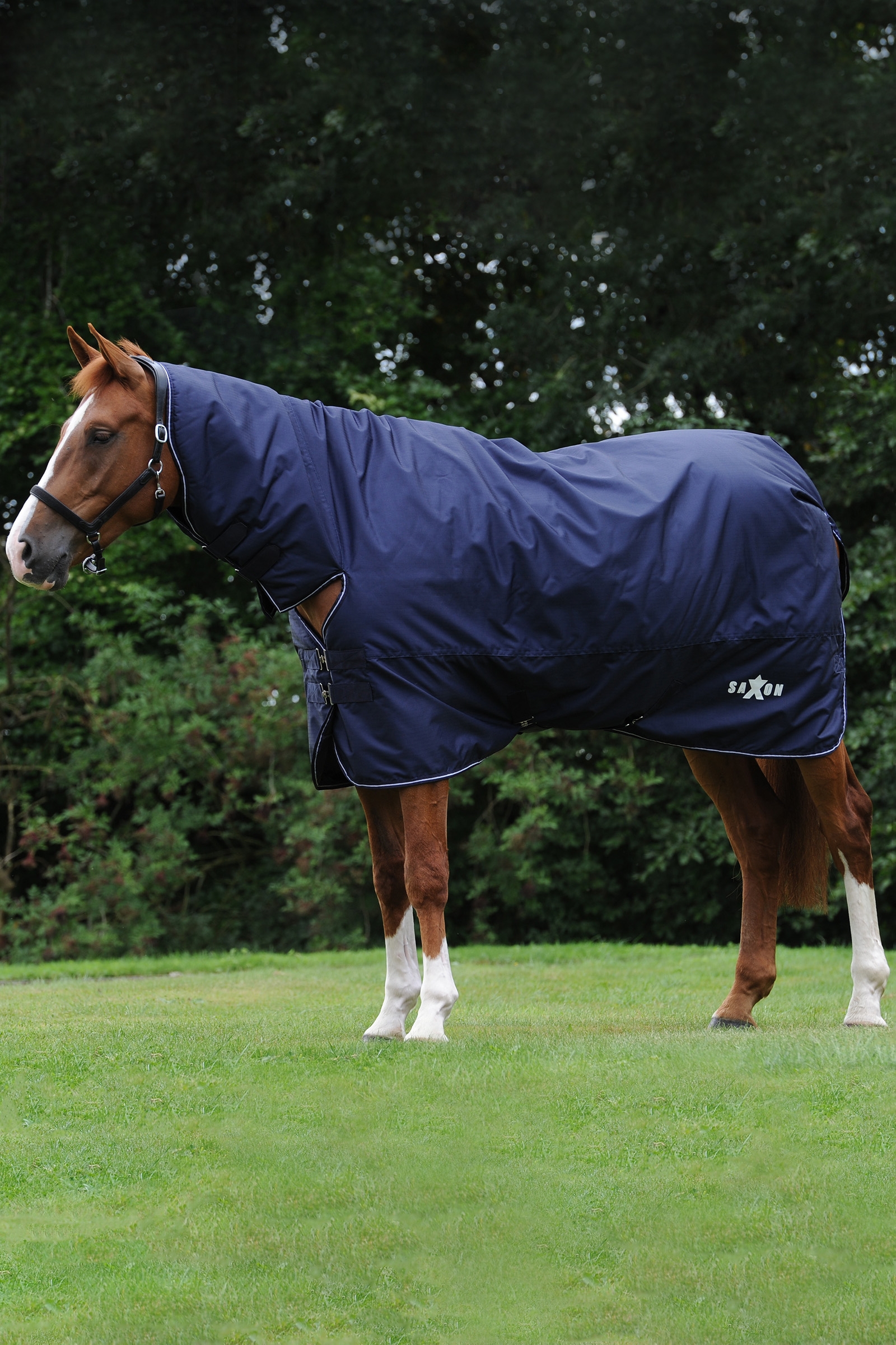 Saxon Defiant 600D Combo Neck Medium Turnout Rug, 200g