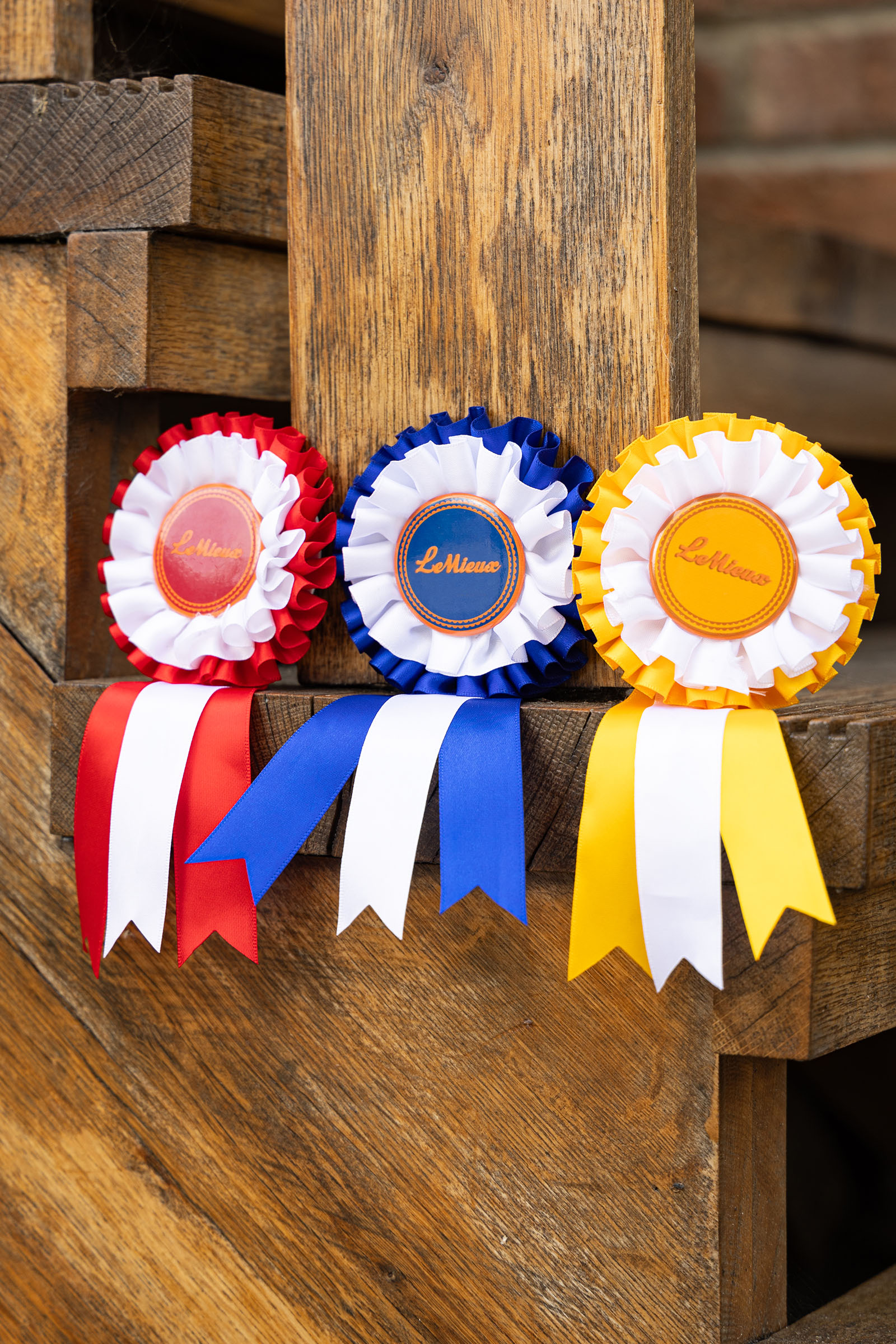 LeMieux Hobby Horse Rosette Multi Pack