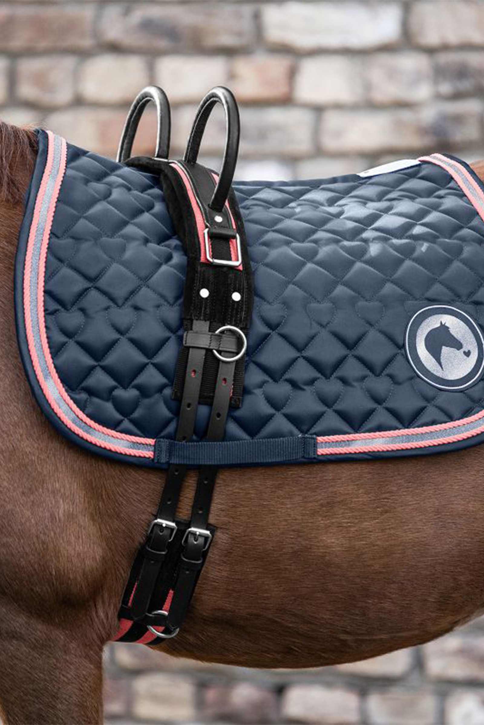 Waldhausen Surcingle with two handles