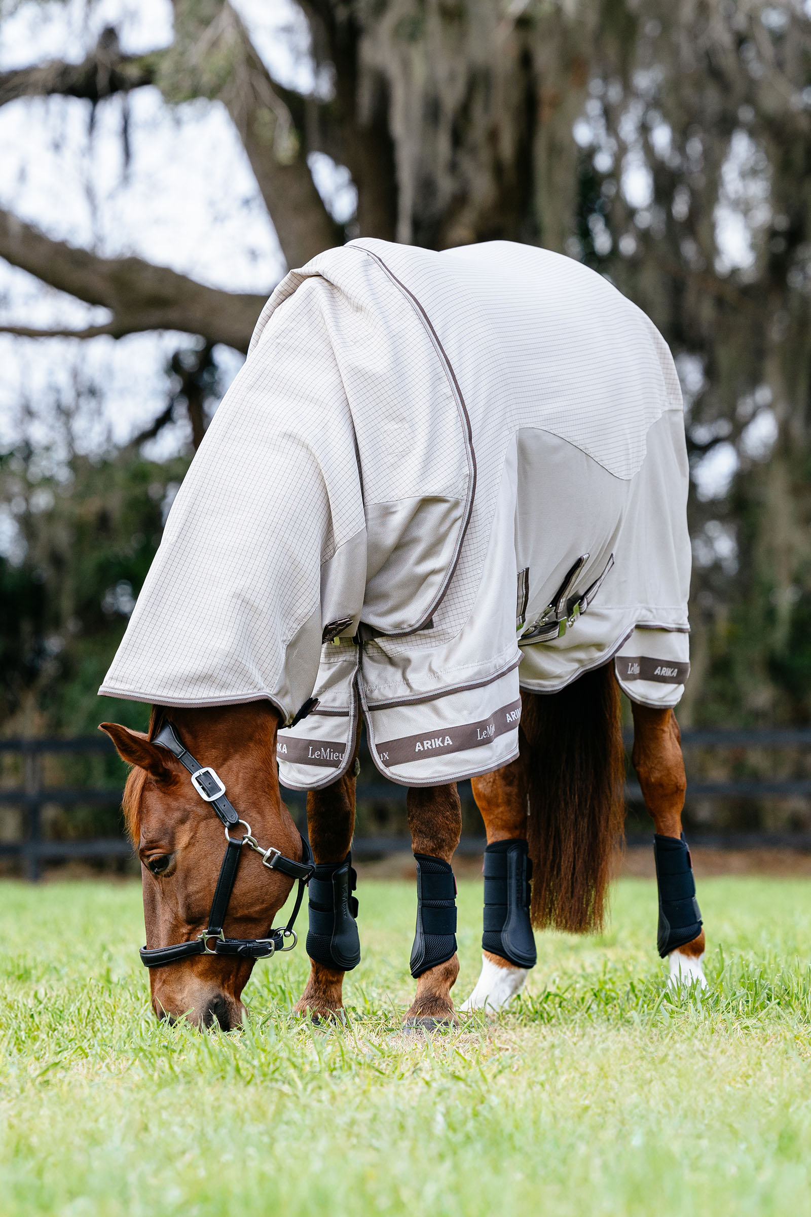 LeMieux Arika 450D Sunstopper Rug With Detachable Neck, 0g