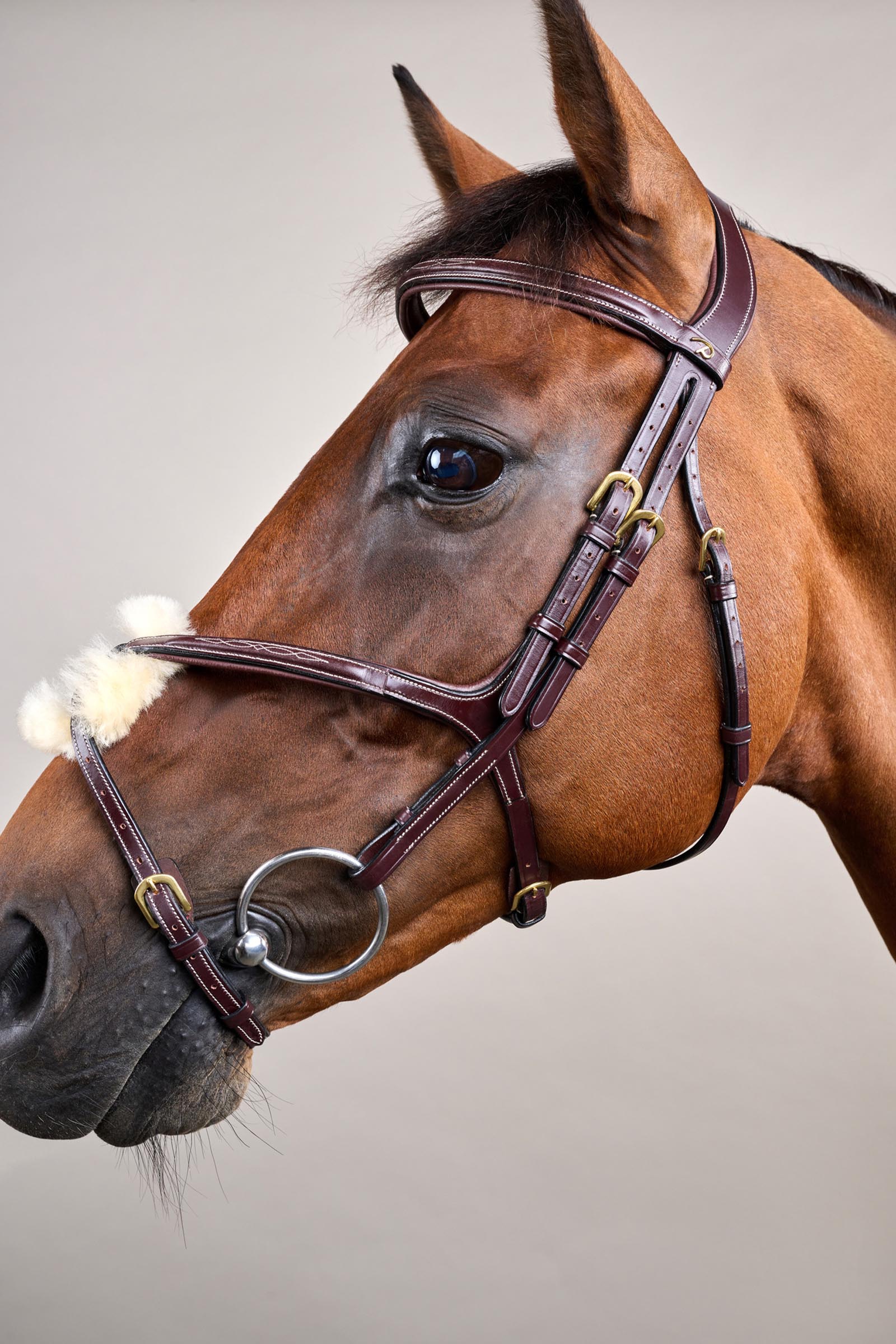 Dy'on D-Collection Figure 8 Noseband Bridle