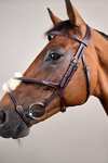 Dy'on D-Collection Figure 8 Noseband Bridle
