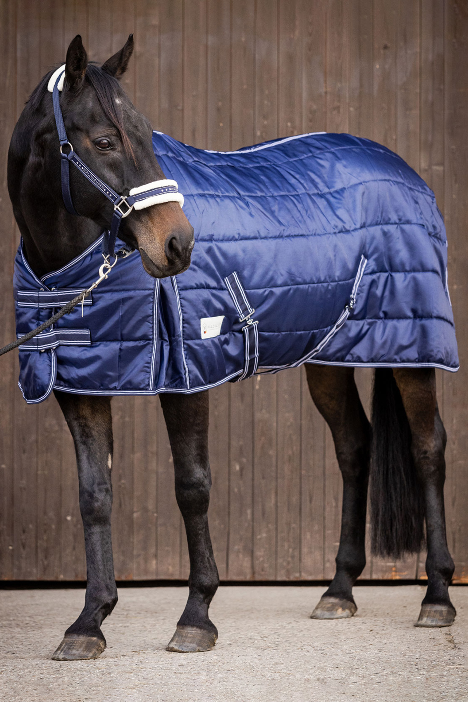 Waldhausen Stable rug Economic 200 g