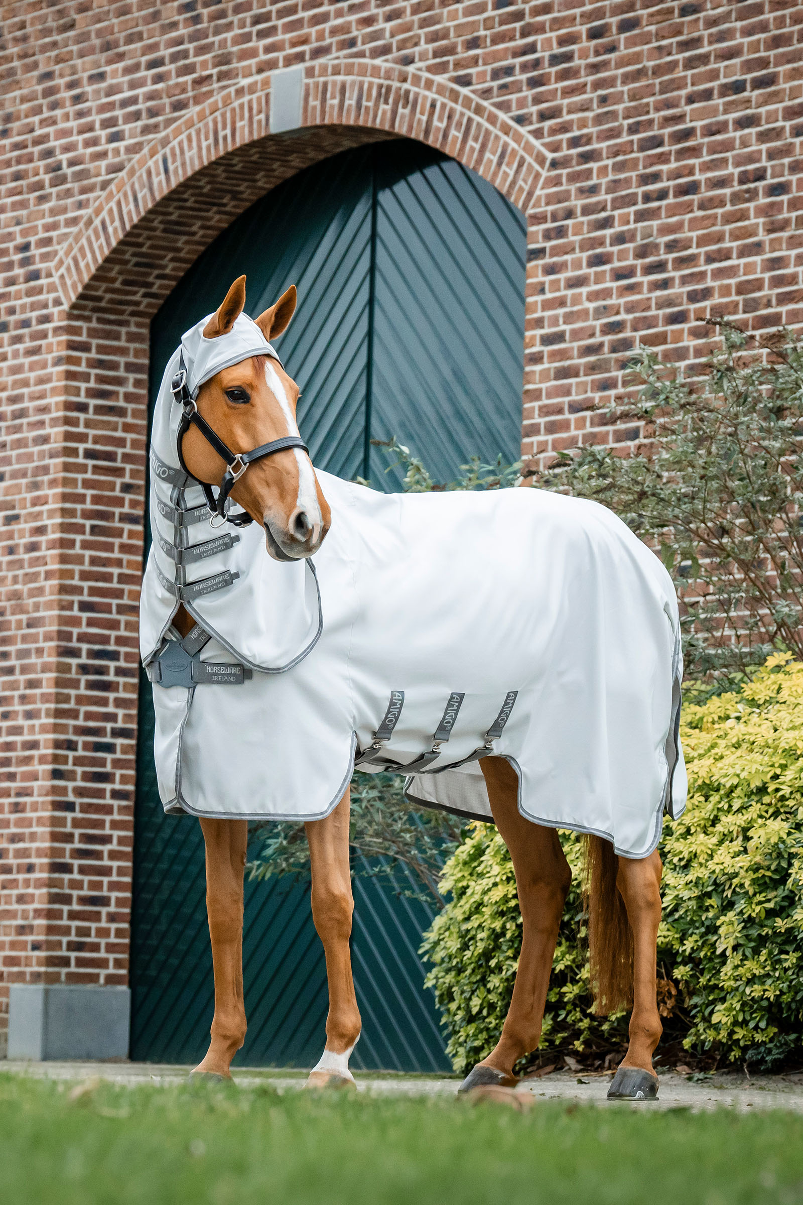 Horseware Amigo Ripstop Hoody