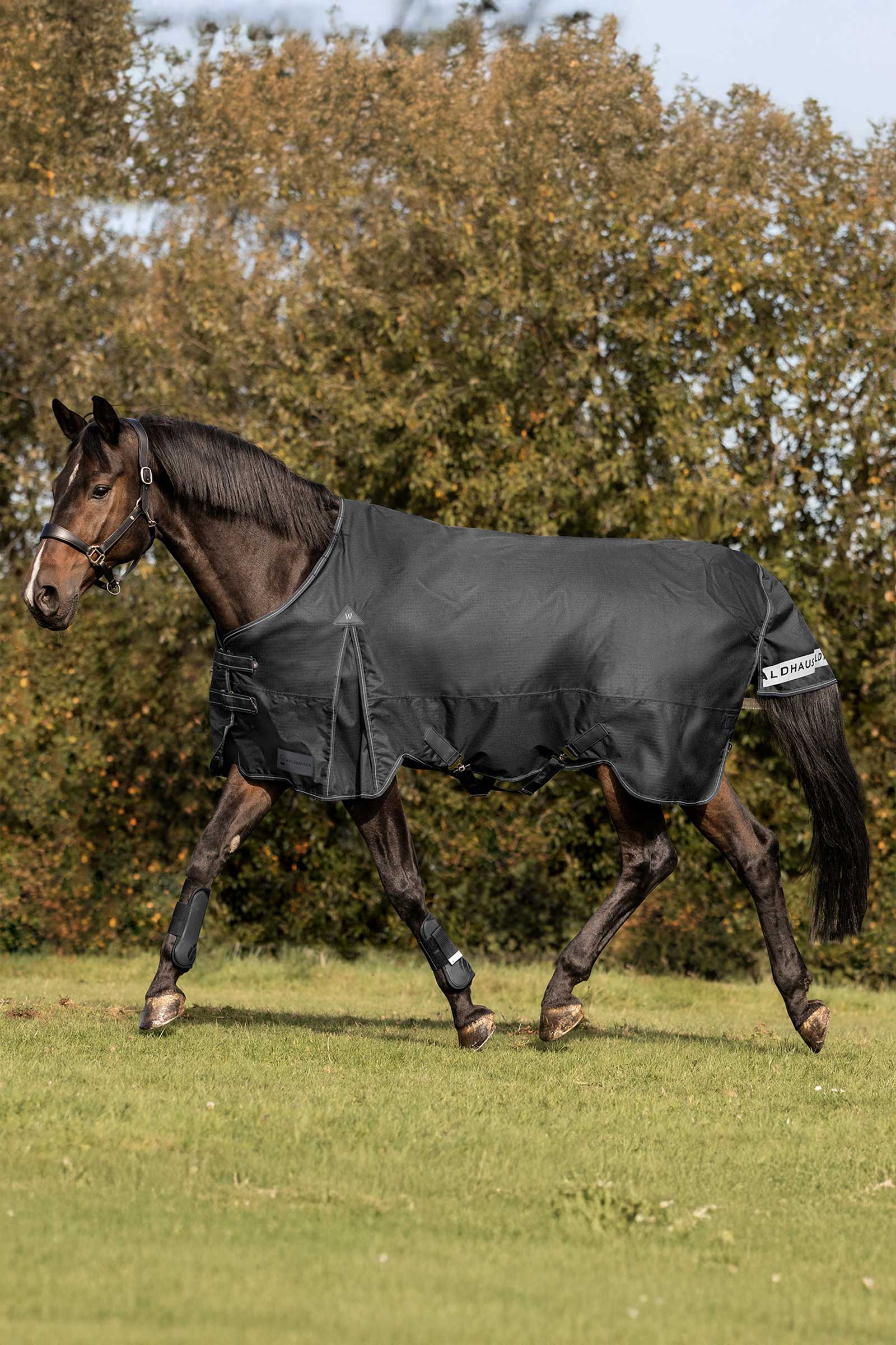 Waldhausen Arctic Turnout Rug, 200 g