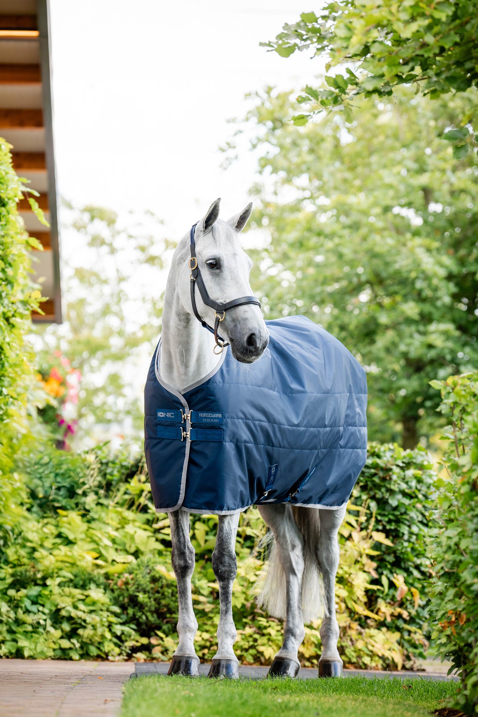 Horseware Ionic Therapy Stable Rug, 50g