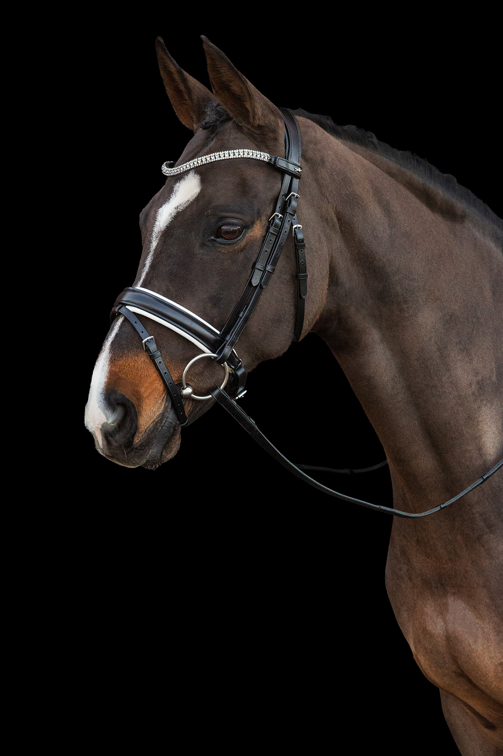 Schockemöhle Sports Malaga Bridle