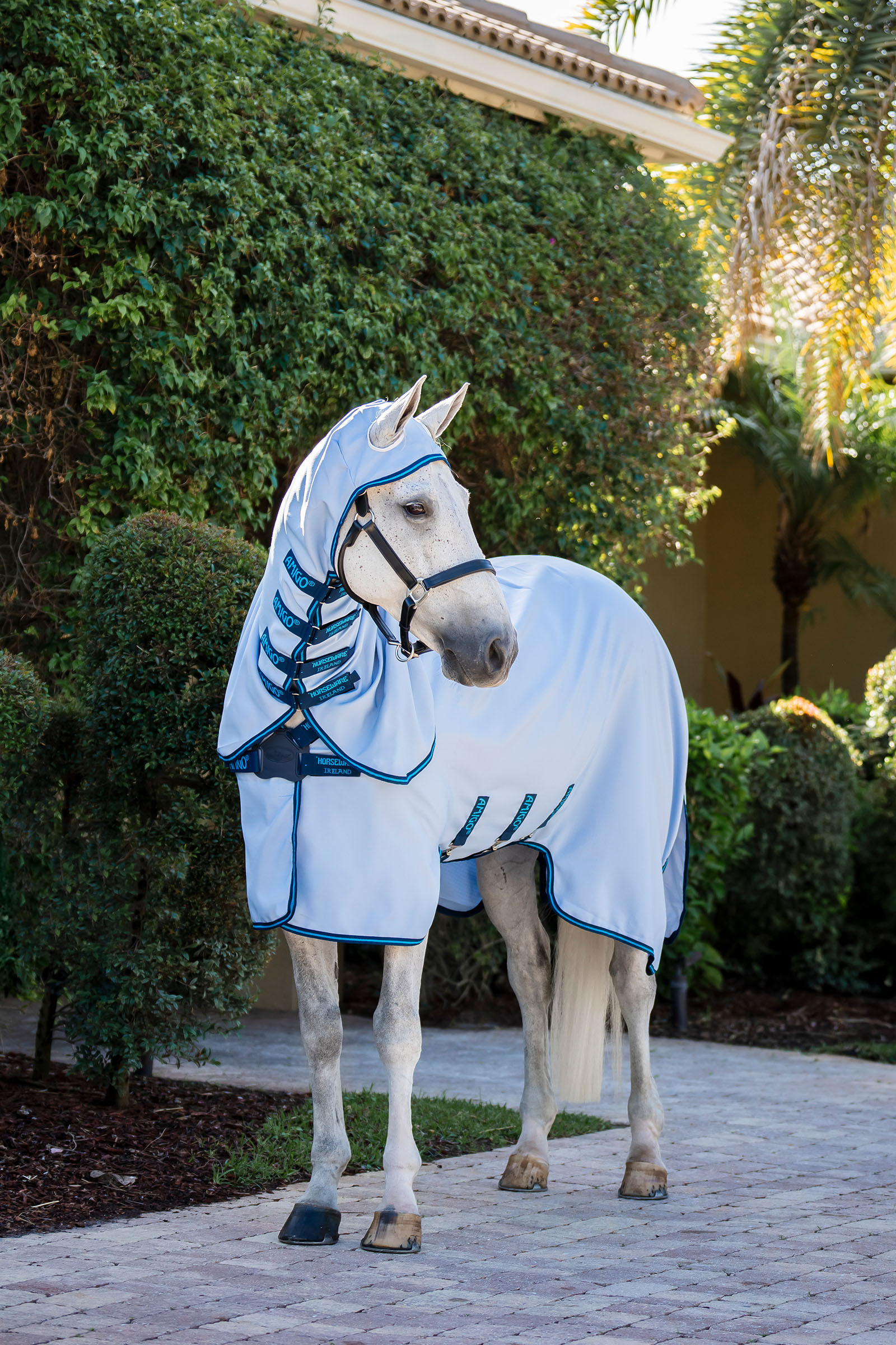 Horseware Amigo Ripstop Hoody