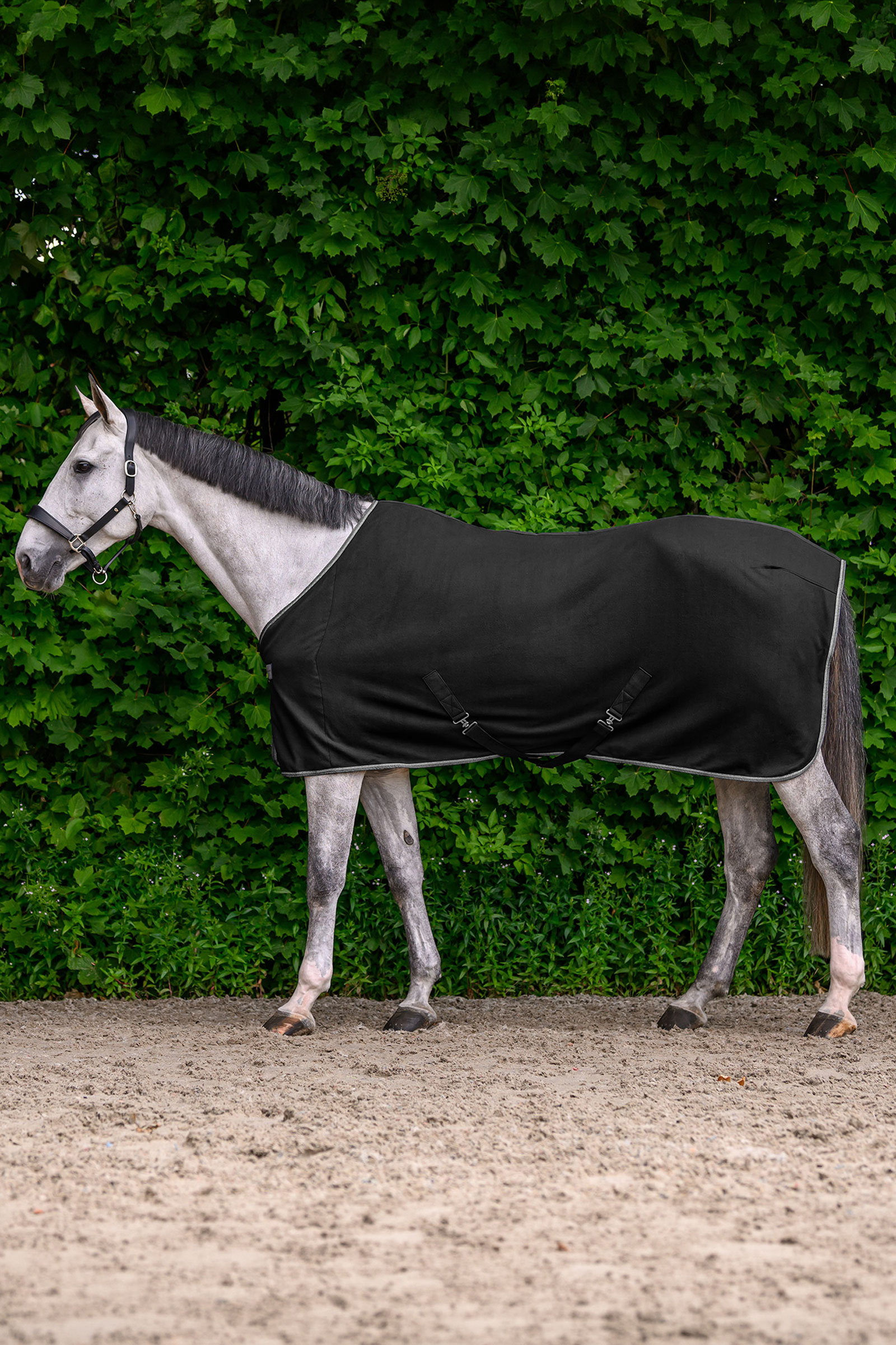 Waldhausen ECONOMIC Fleece Rug with Cross Surcingles