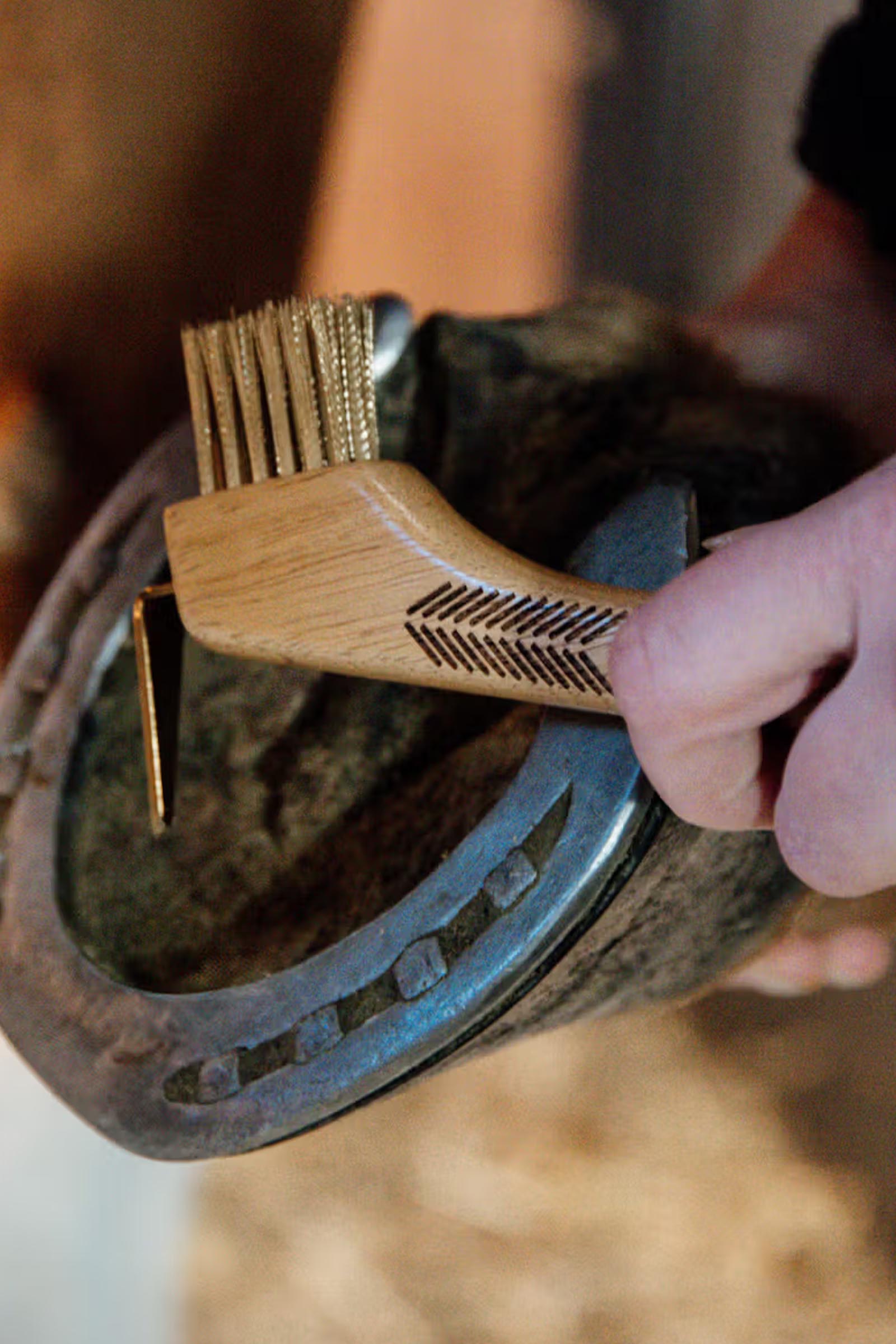 Grooming Deluxe Hoof Pick With Metal Bristle