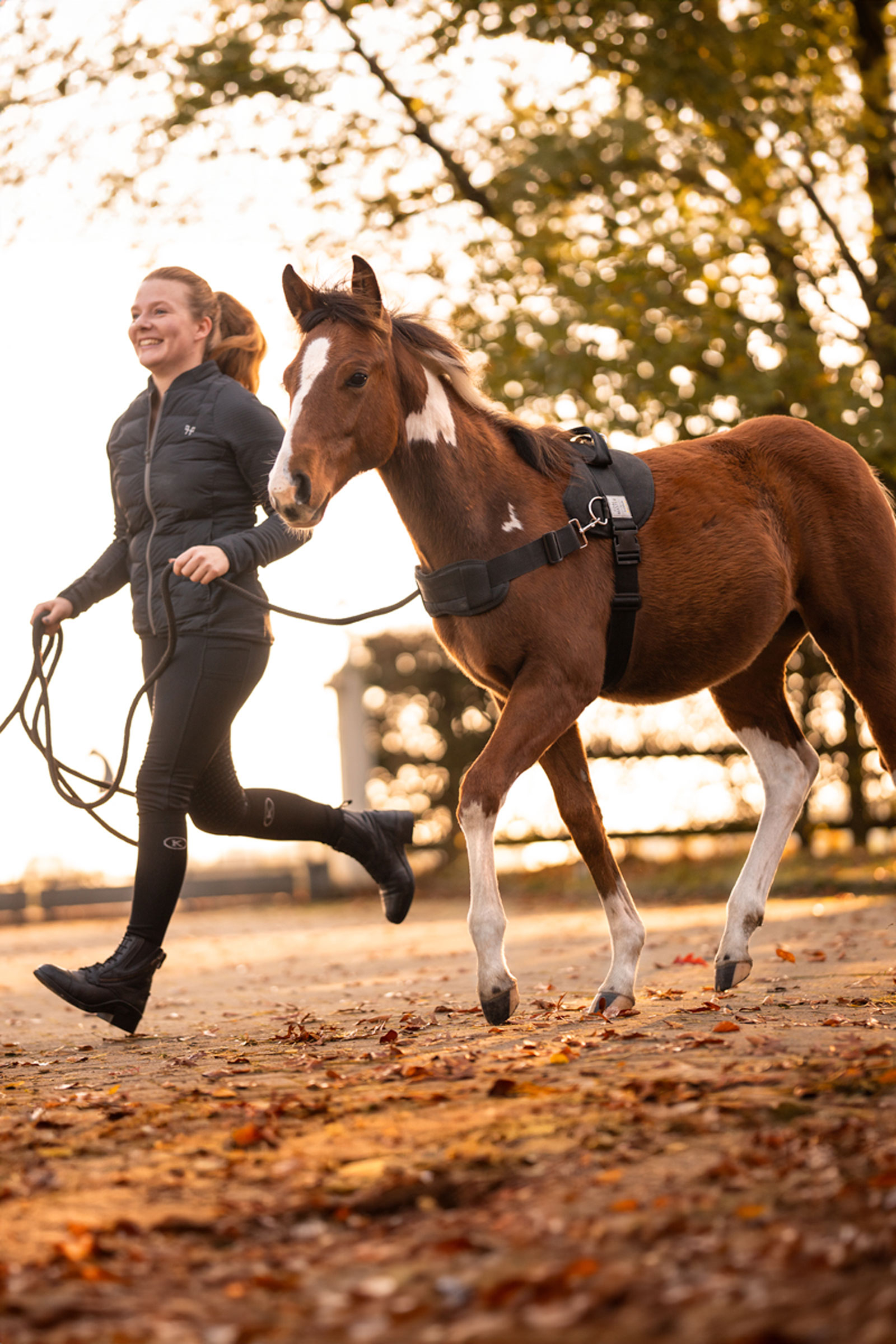 Kavalkade Foalmaster Foal Harness With Handle