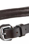 Kavalkade Akila Hunter Bridle