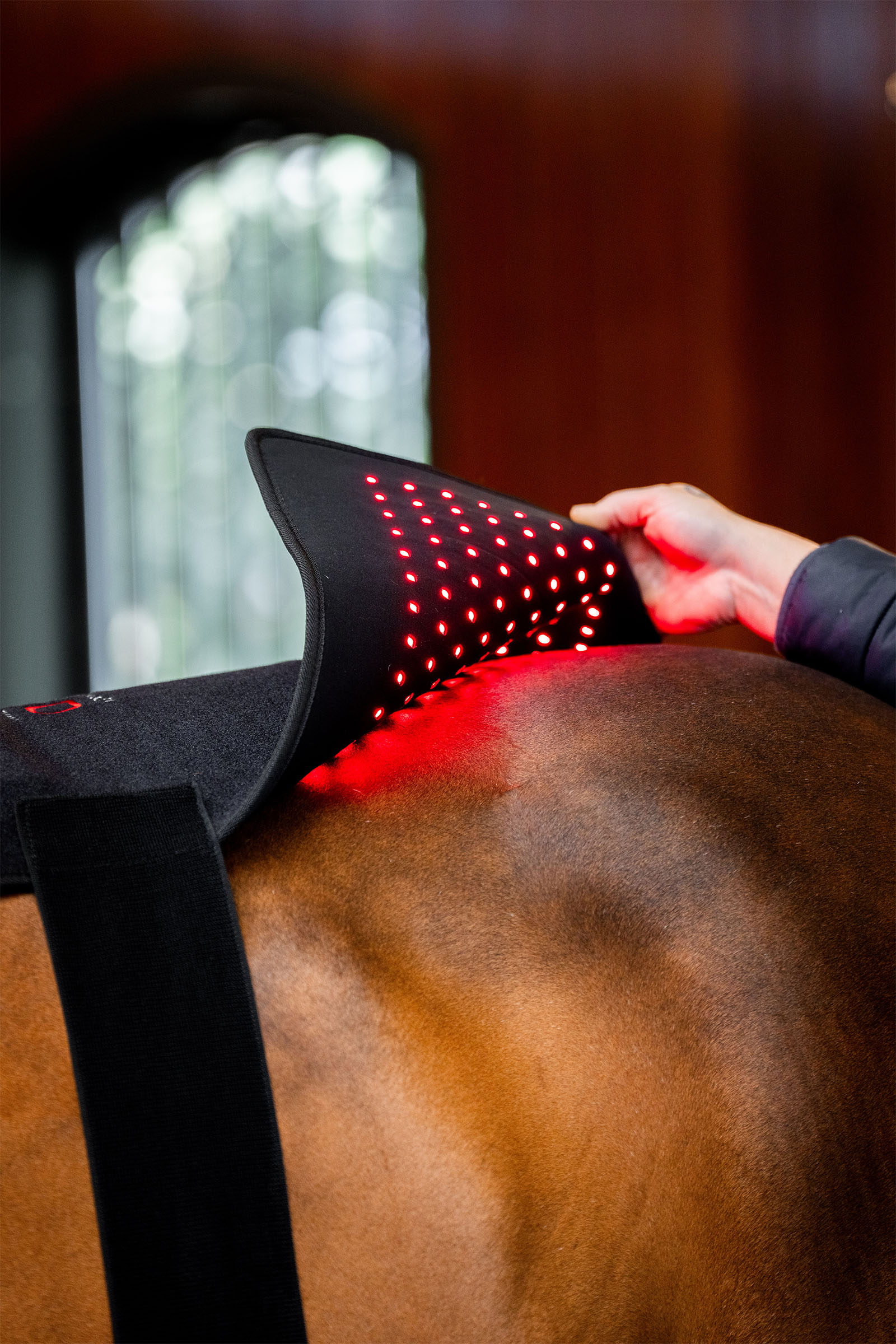 Horseware LED Red Light Therapy Pad