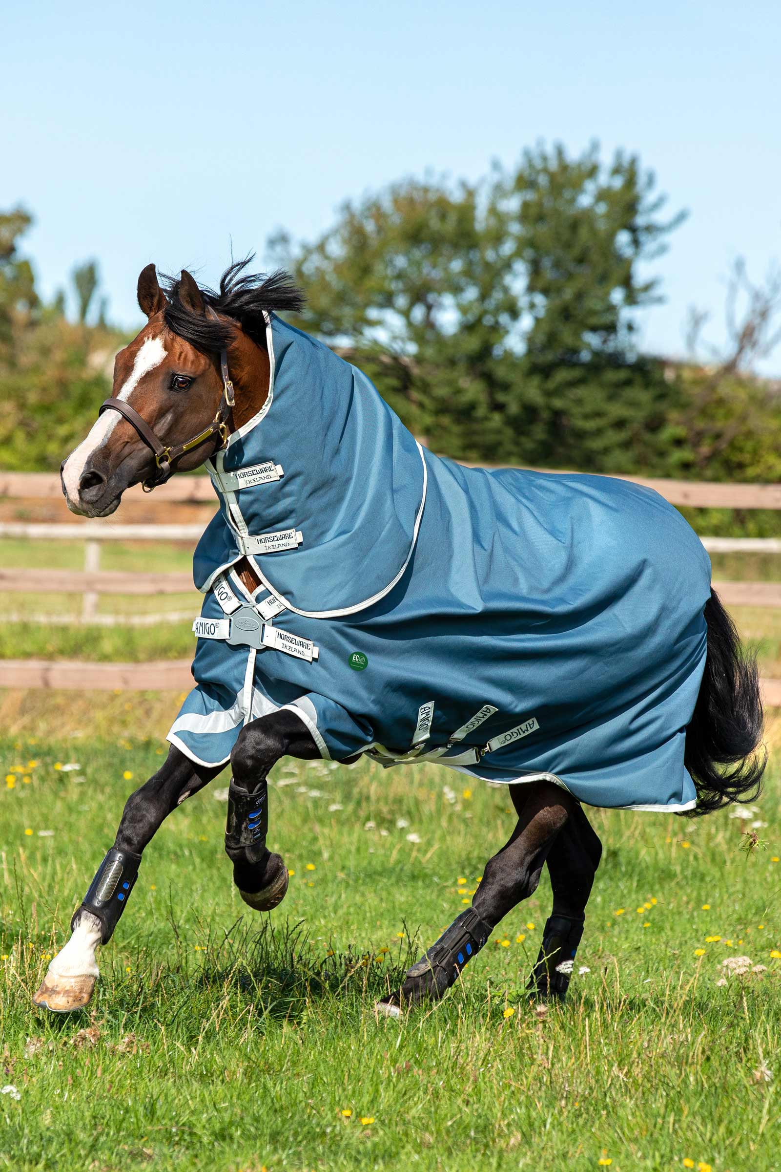 Horseware Amigo AmEco 12 Plus Turnout Rug With Detachable Neck, 0 g