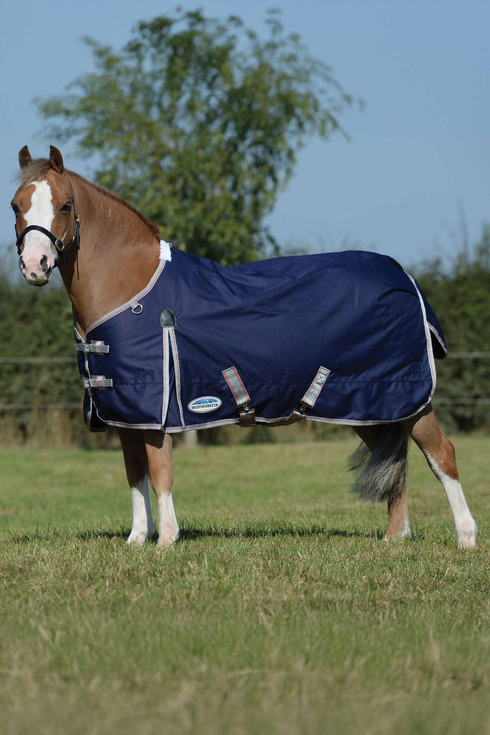 Weatherbeeta Comfitec Essential Plus Turnout Rug, 50g