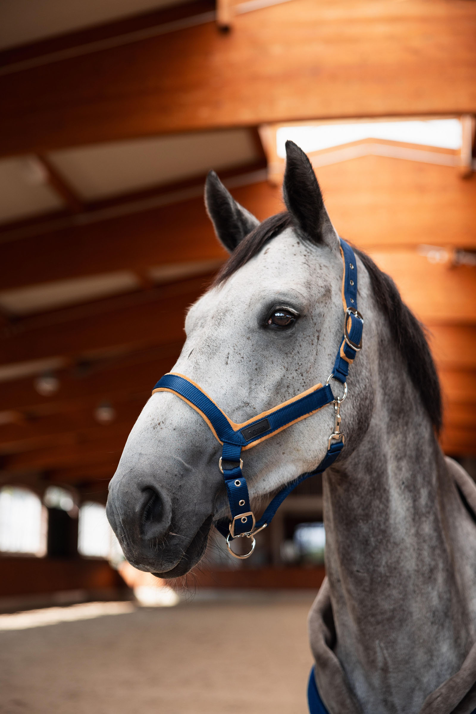 Horze Delémont Shaped Halter