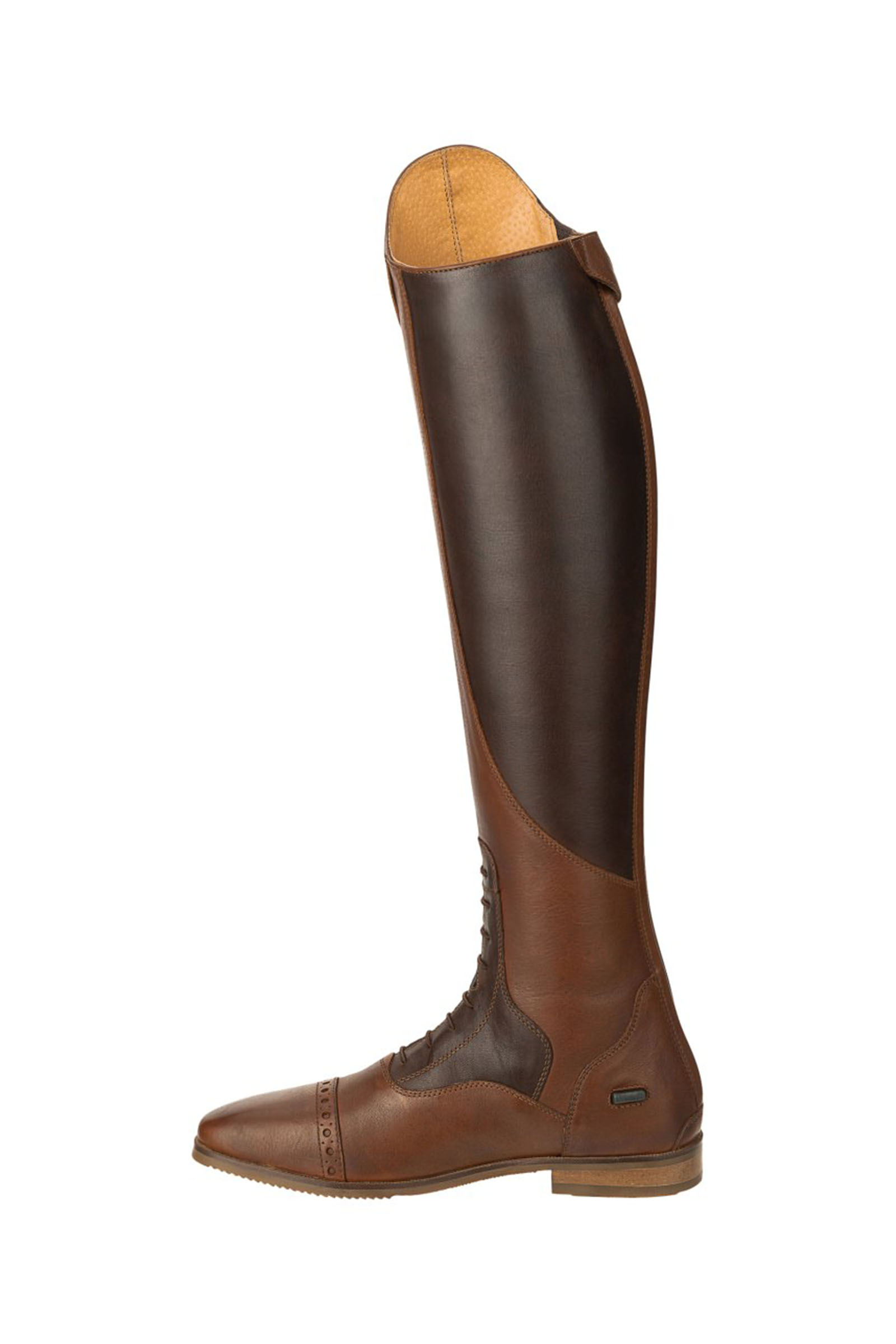 Suedwind Footwear Florentina Tall Riding Boots
