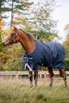 Horseware Amigo Bravo 12 Original Turnout Rug, 250g